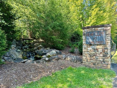 151 Cedar Ridge Drive 42 Nebo NC 28761