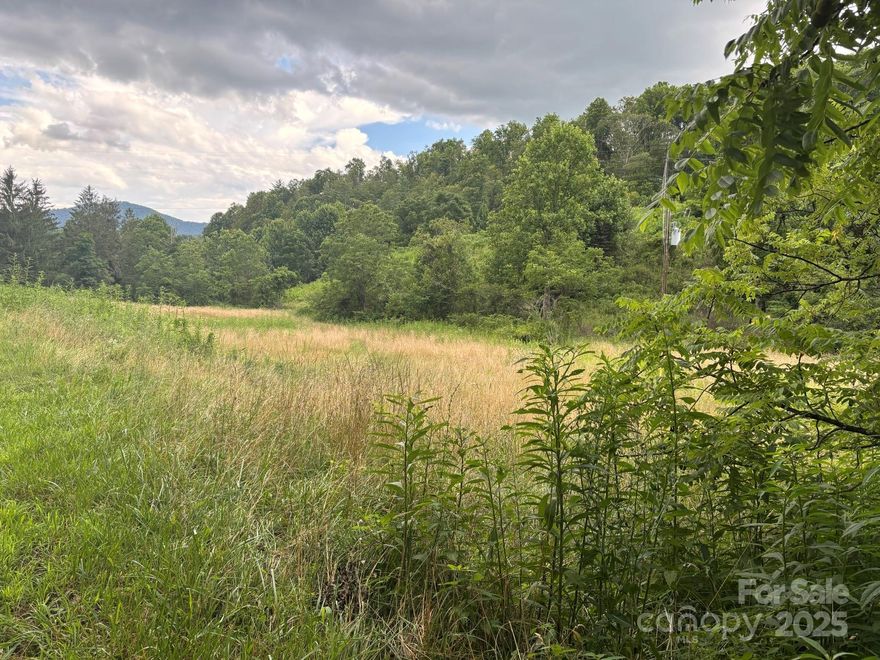 Nice almost level, easy access 2.913 acres. This property is suitable for many uses. Home, pasture land, shrubbery,
Christmas trees and much more. You decide. This property is a small portion of a larger tract of land and tax value has not been determined.  New survey done in June of 2025.