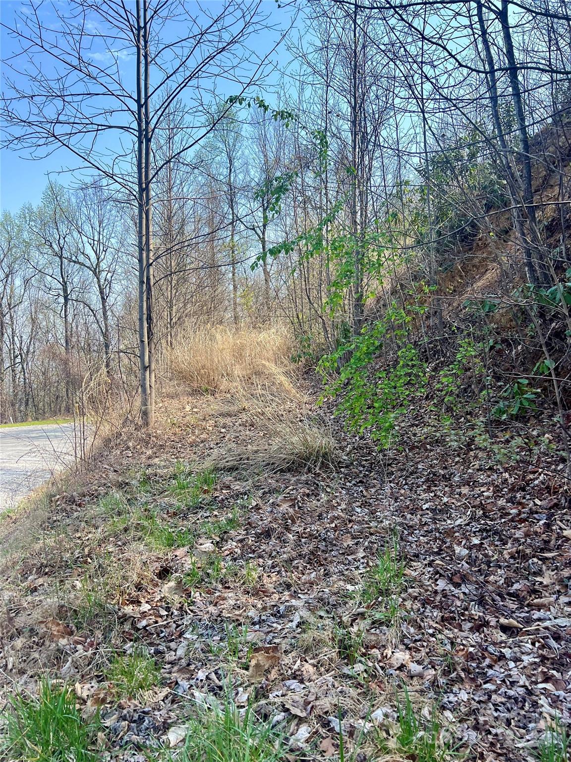 Gateway Mountain - Land