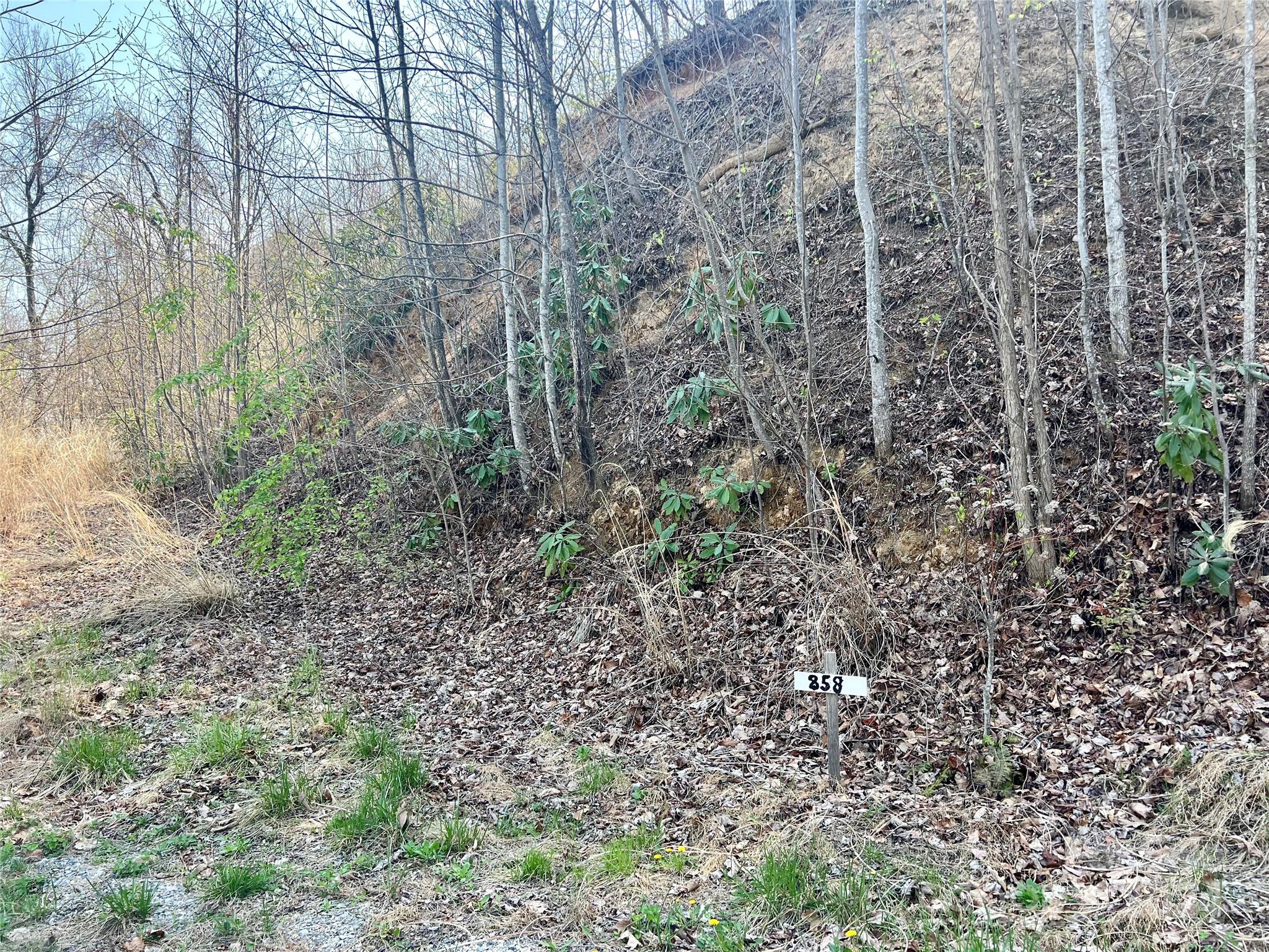 Gateway Mountain - Land