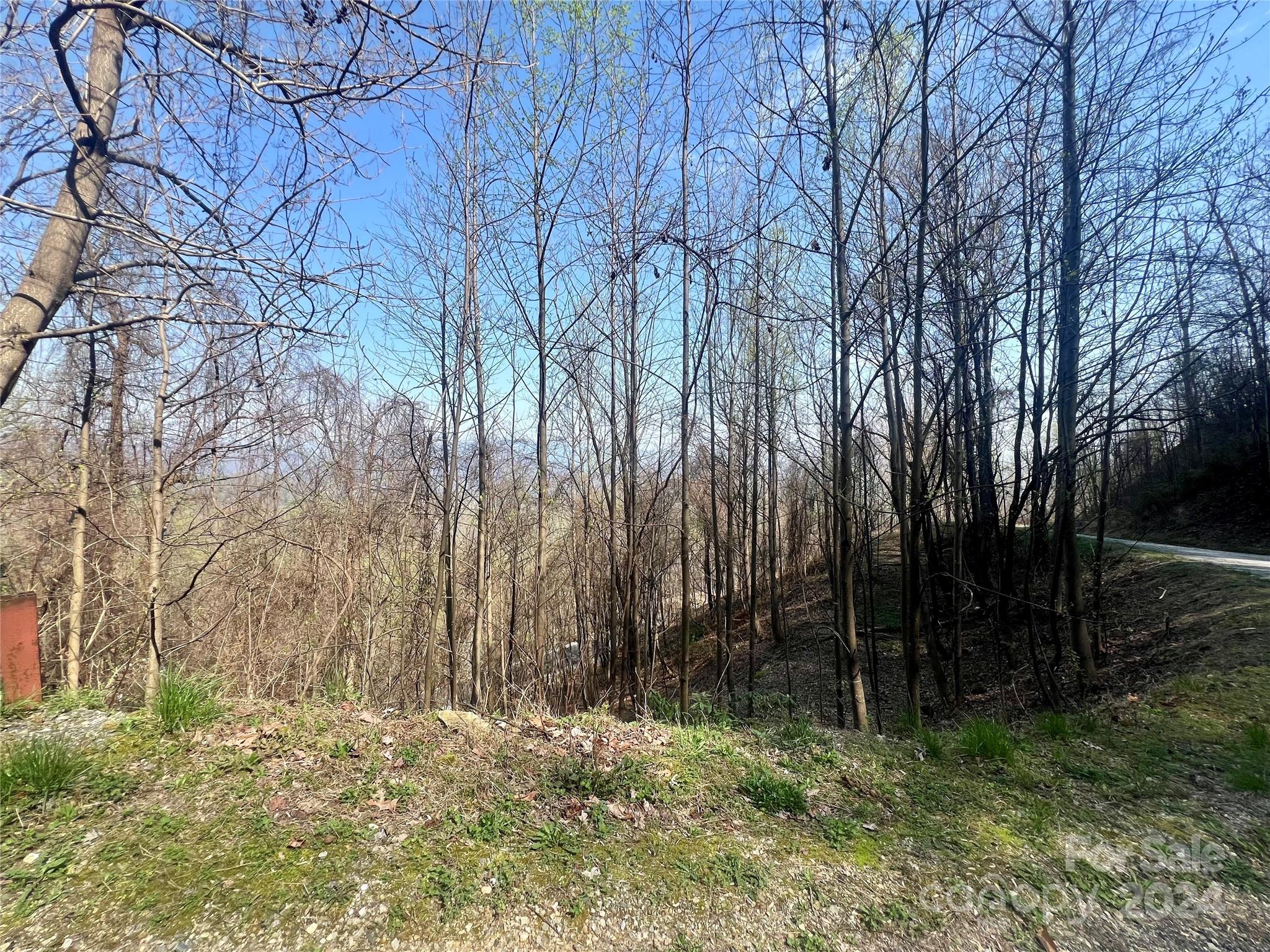 Gateway Mountain - Land