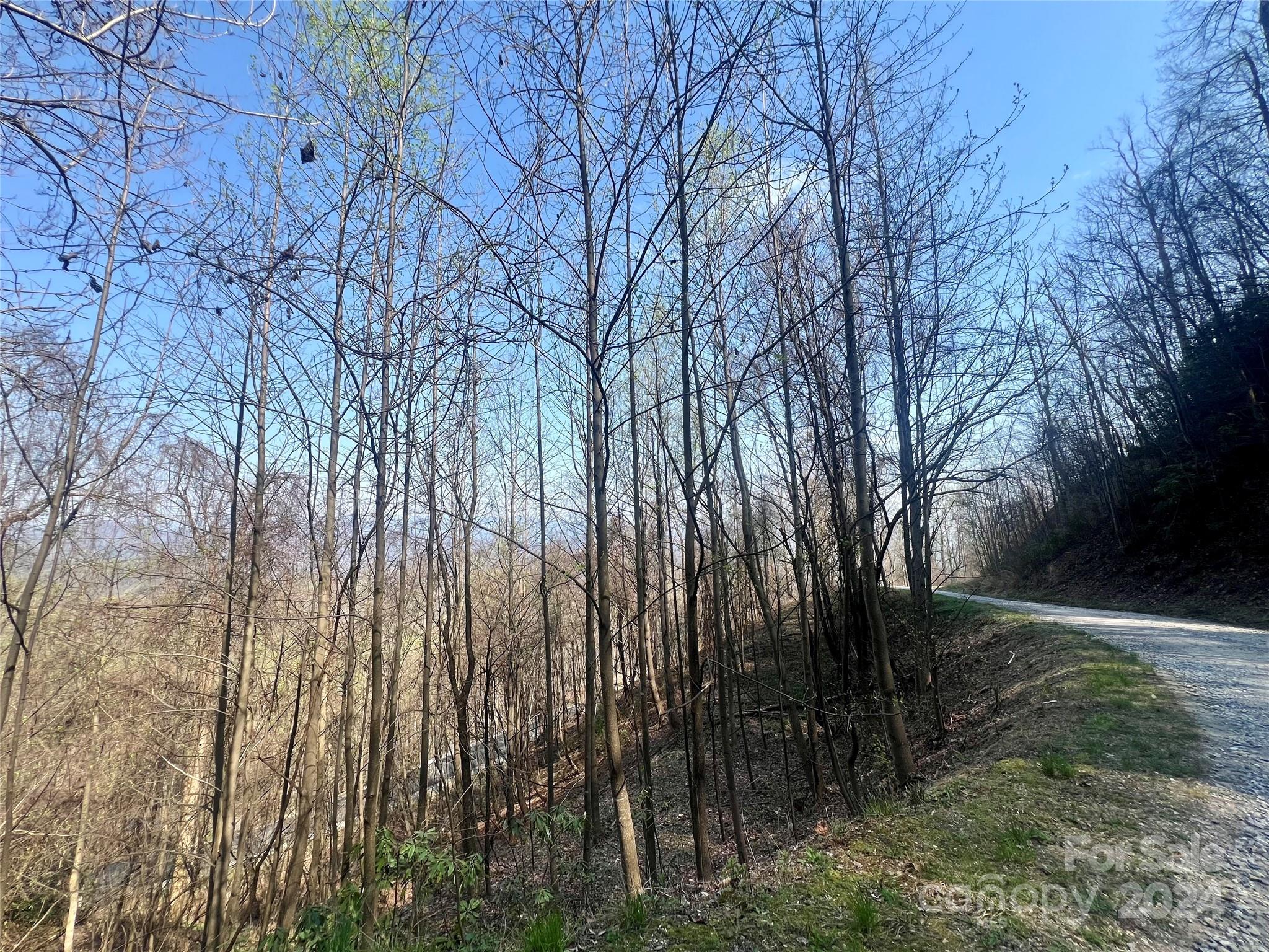 Gateway Mountain - Land