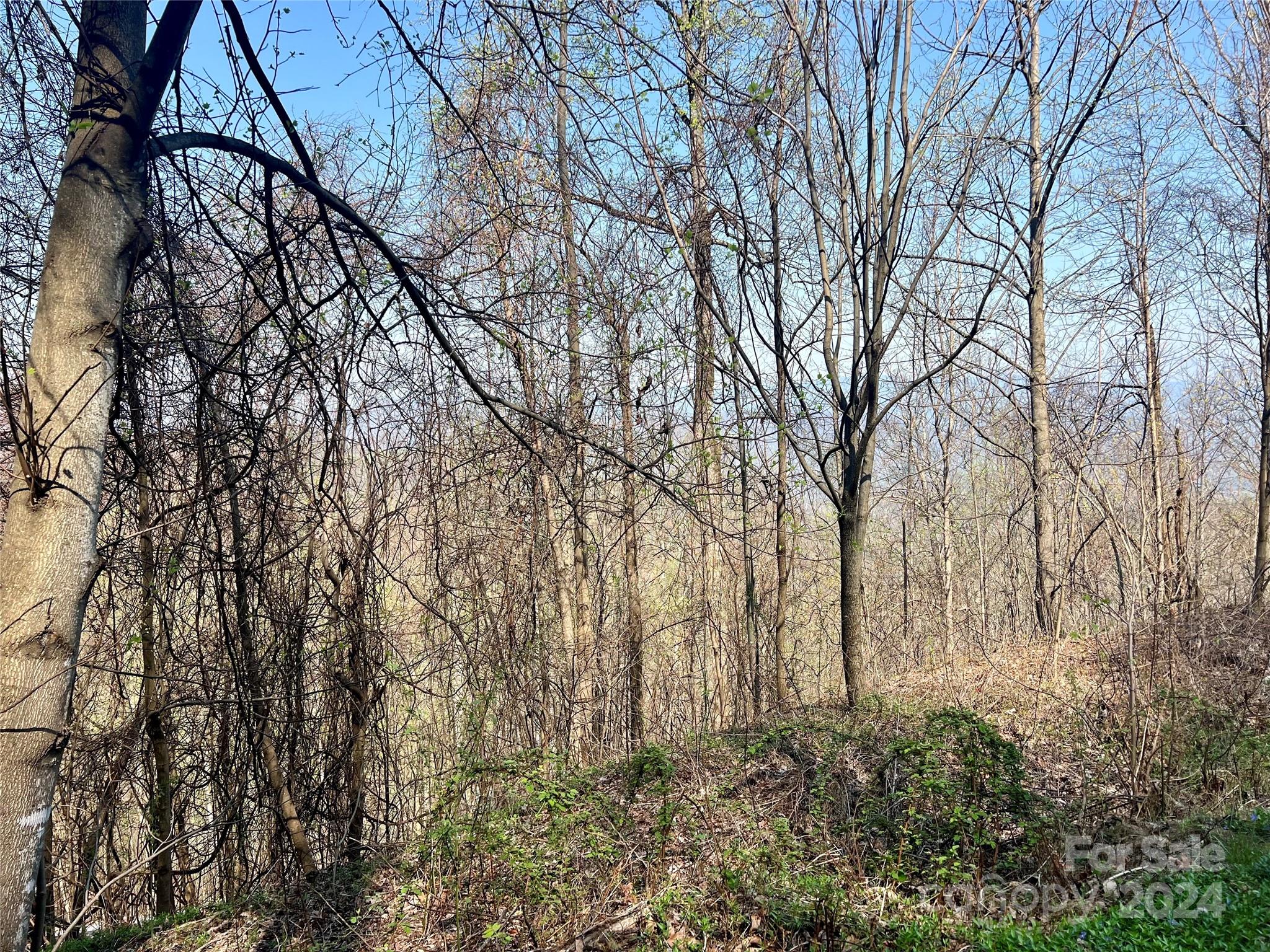 Gateway Mountain - Land