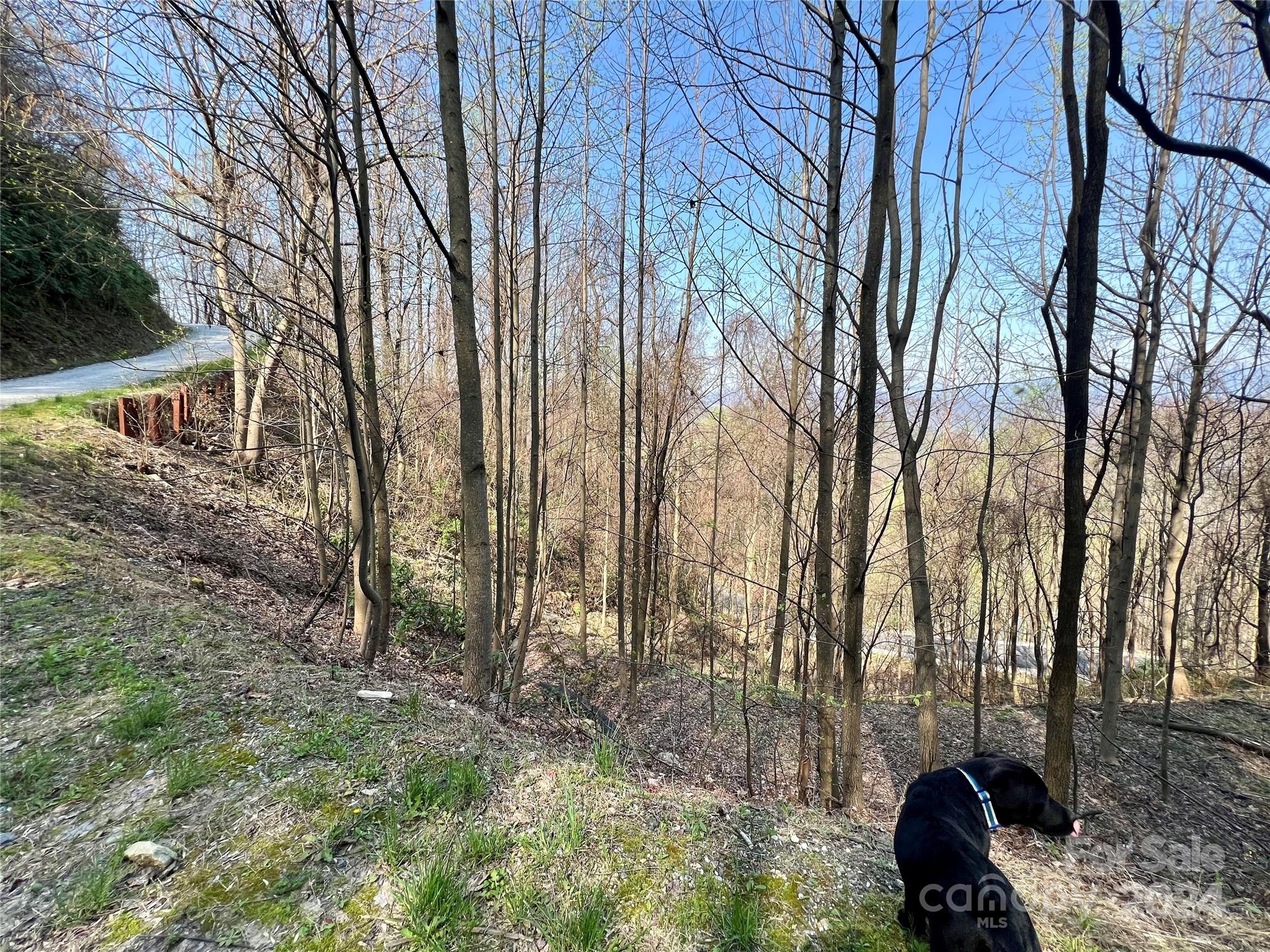 Gateway Mountain - Land