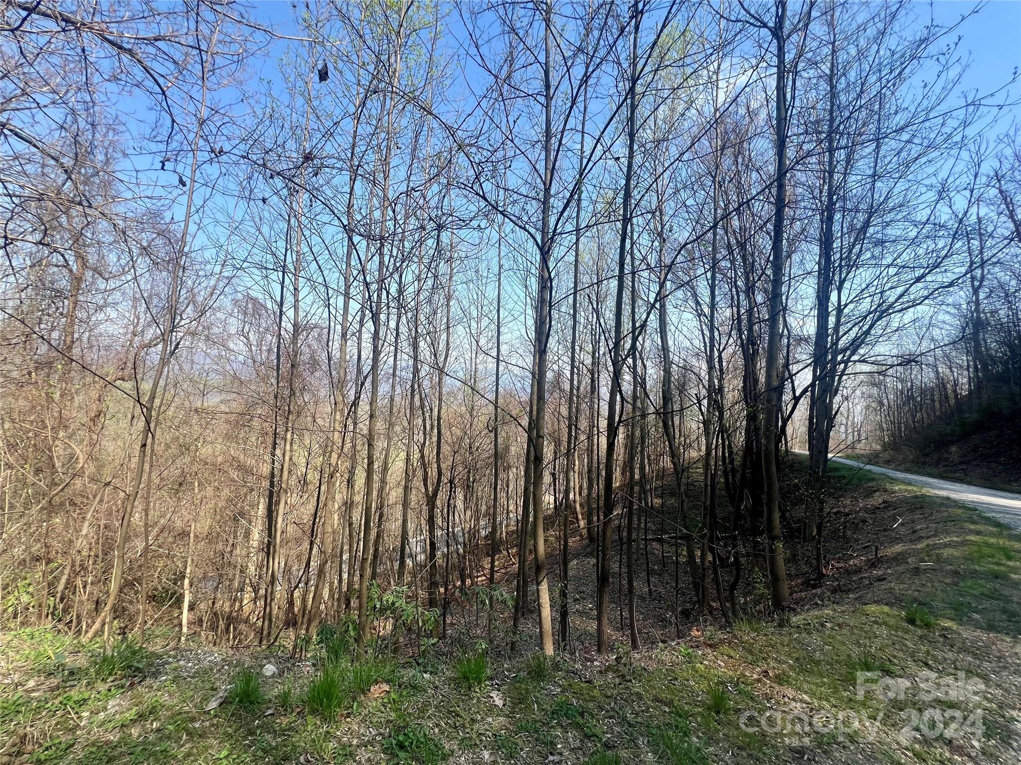 Gateway Mountain - Land