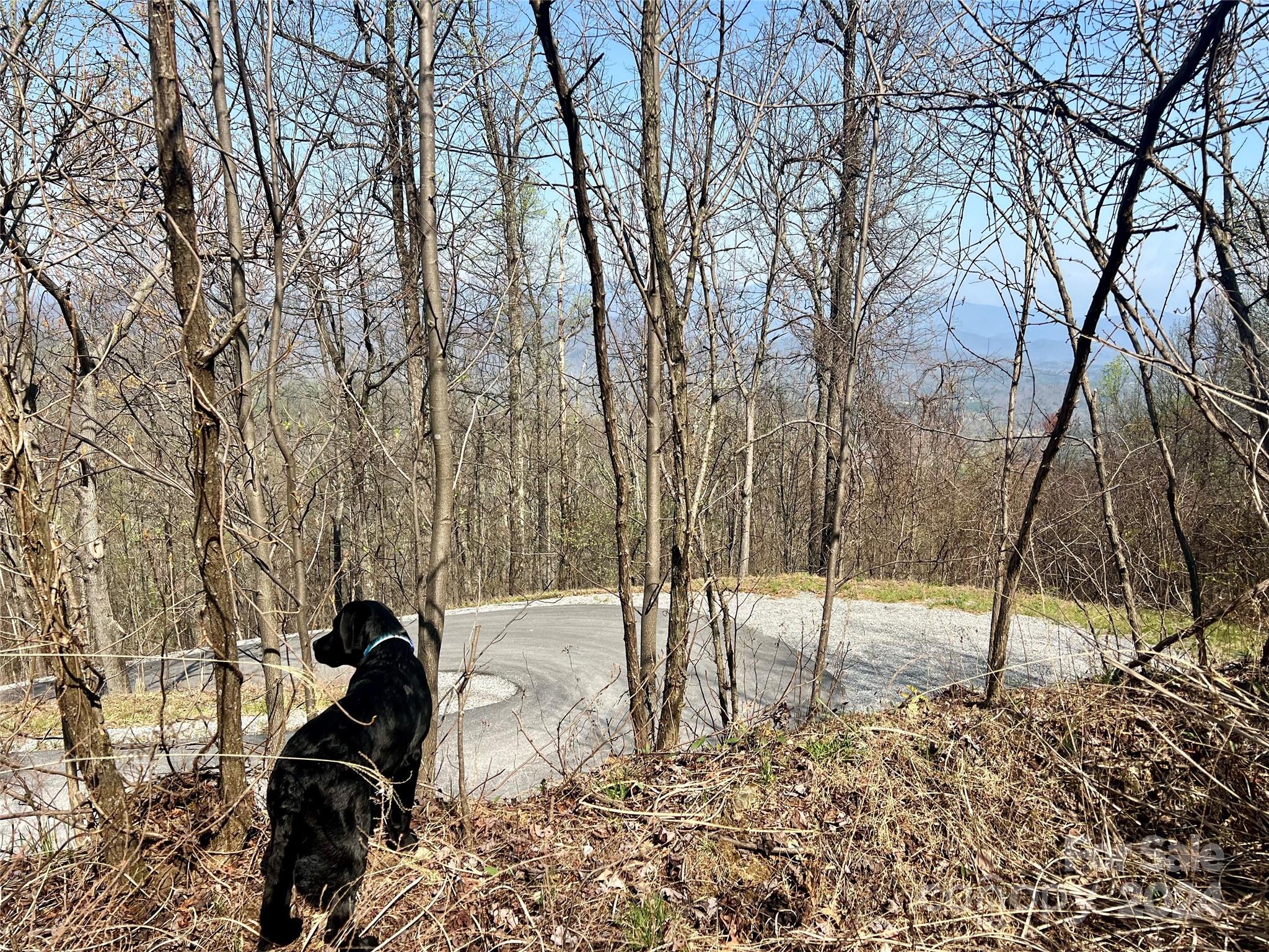 Gateway Mountain - Land