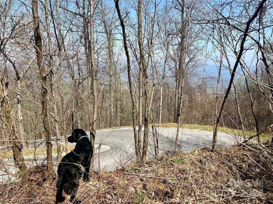 Nestled within the secure confines of Gateway Mountain, this 4.52-acre lot presents a prime opportunity to build your dream estate in Old Fort. Enjoy the perfect balance of privacy and convenience in this gated community. Surrounded by stunning mountain views and lush forests, the possibilities for your new home are endless. Gateway Mountain amenities, including hiking trails and a community lake, add to the appeal of this desirable location. Don't miss out—schedule a viewing today and start planning your future in this prestigious neighborhood. Puppy not included in the sale ;). MOTIVATED SELLER!