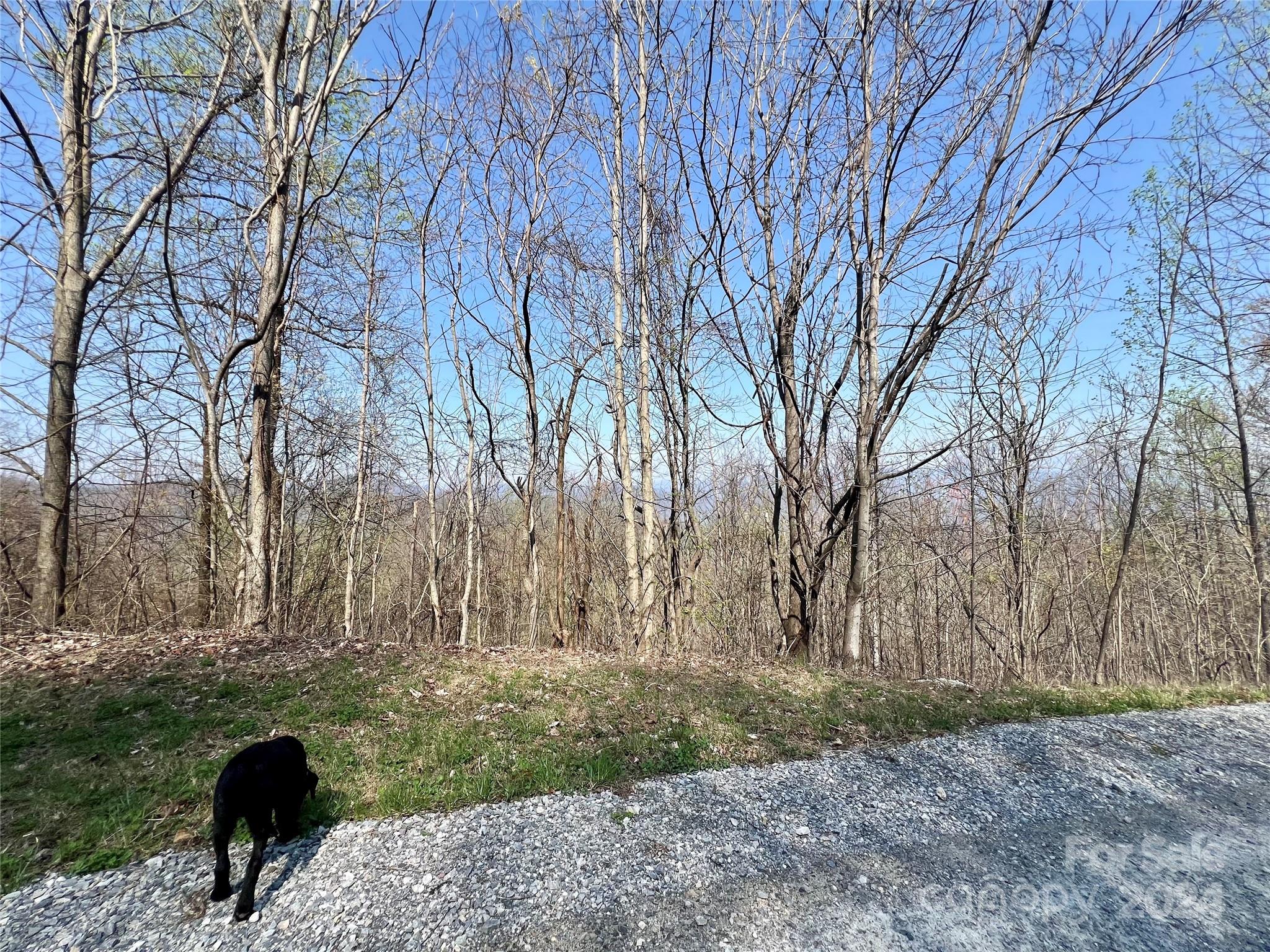 Gateway Mountain - Land