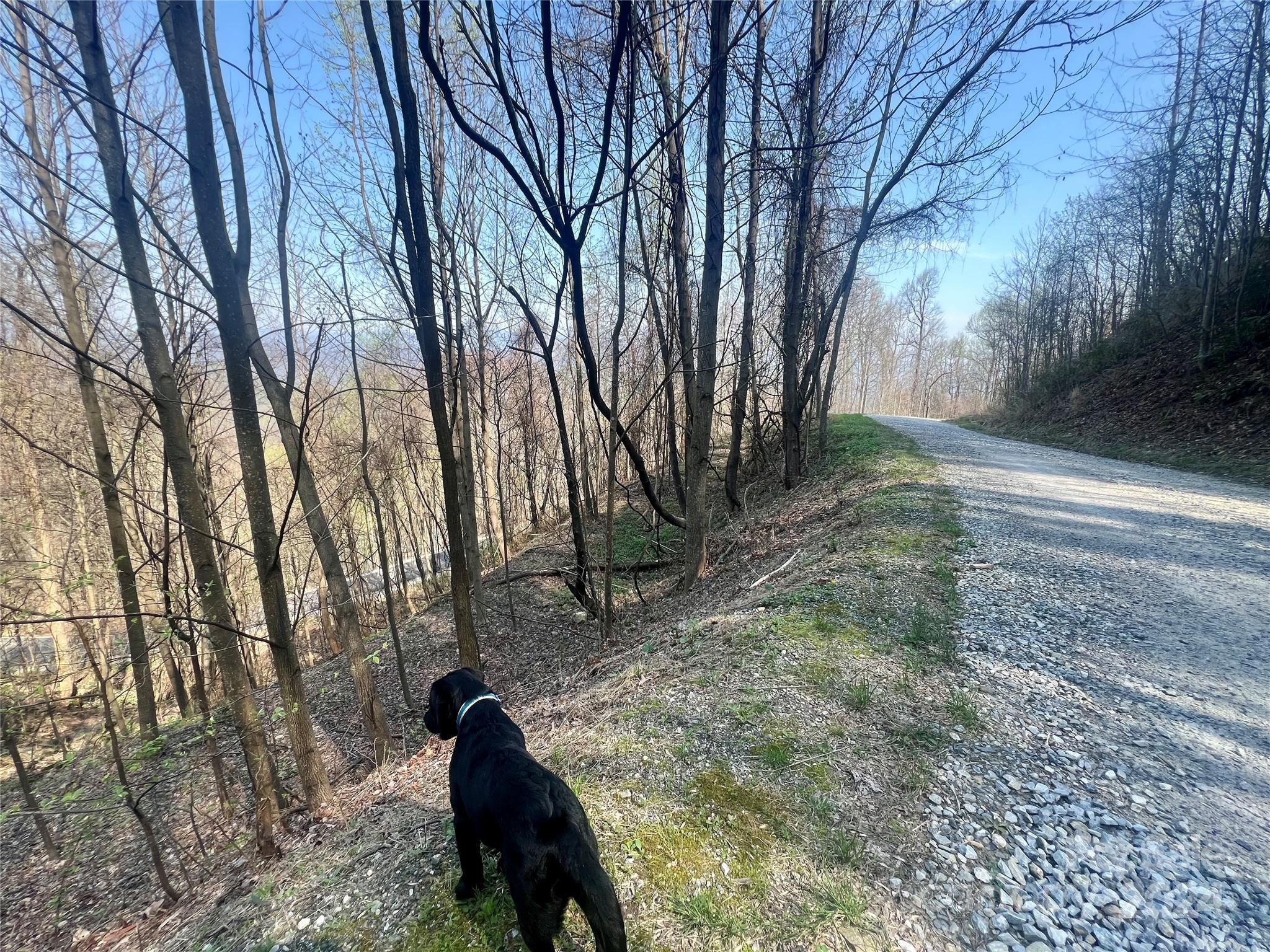 Gateway Mountain - Land