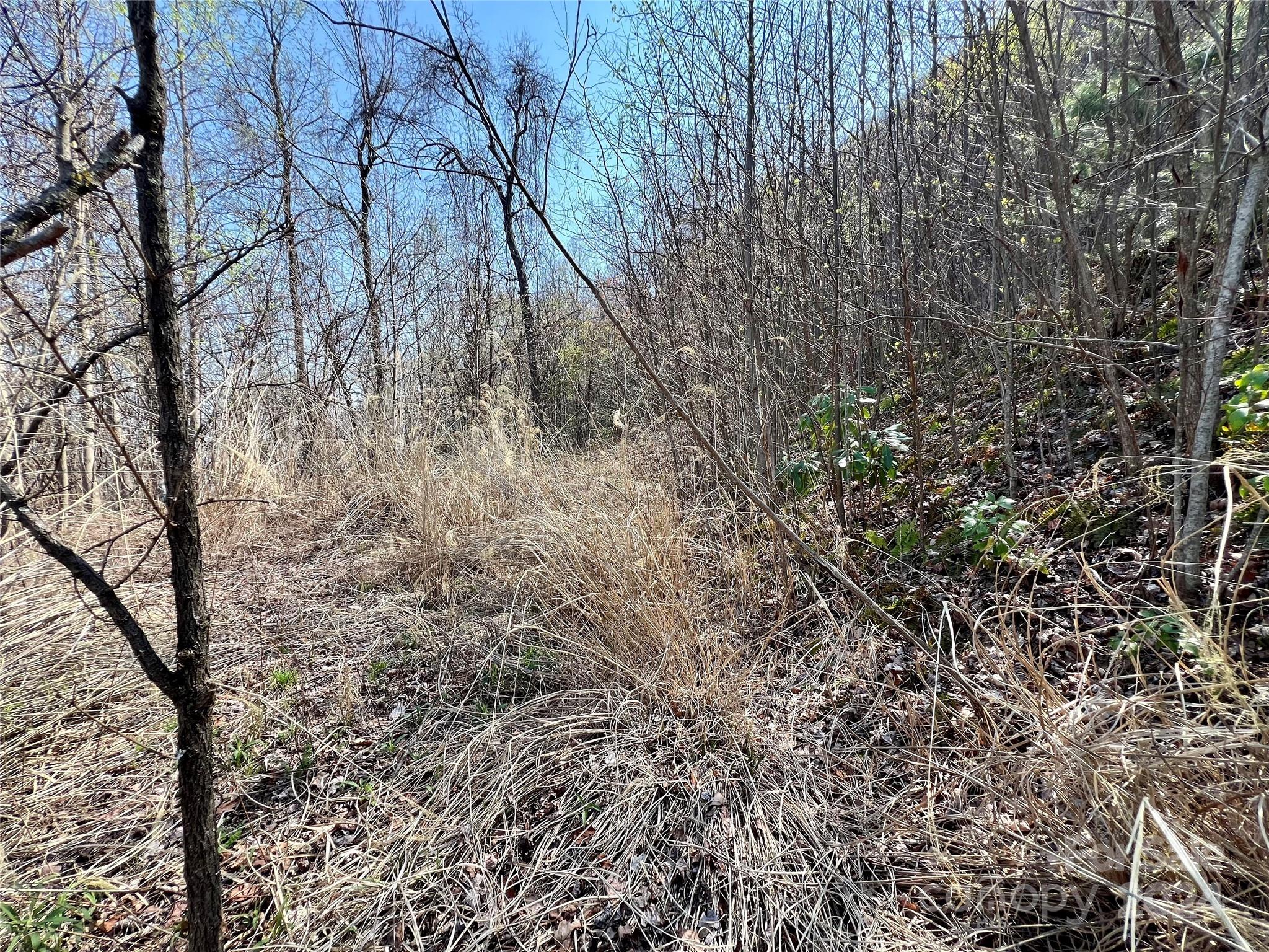 Gateway Mountain - Land