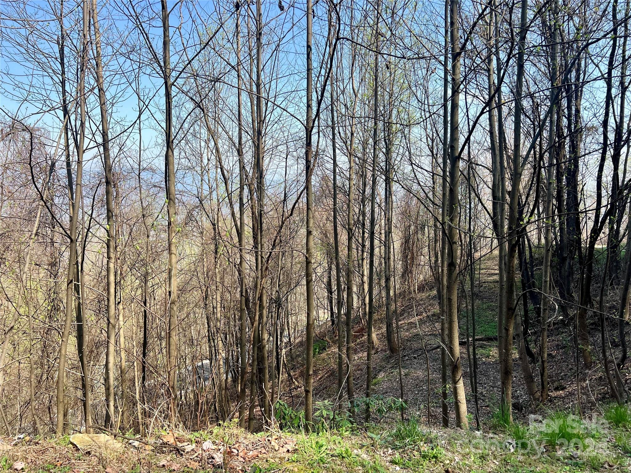 Gateway Mountain - Land