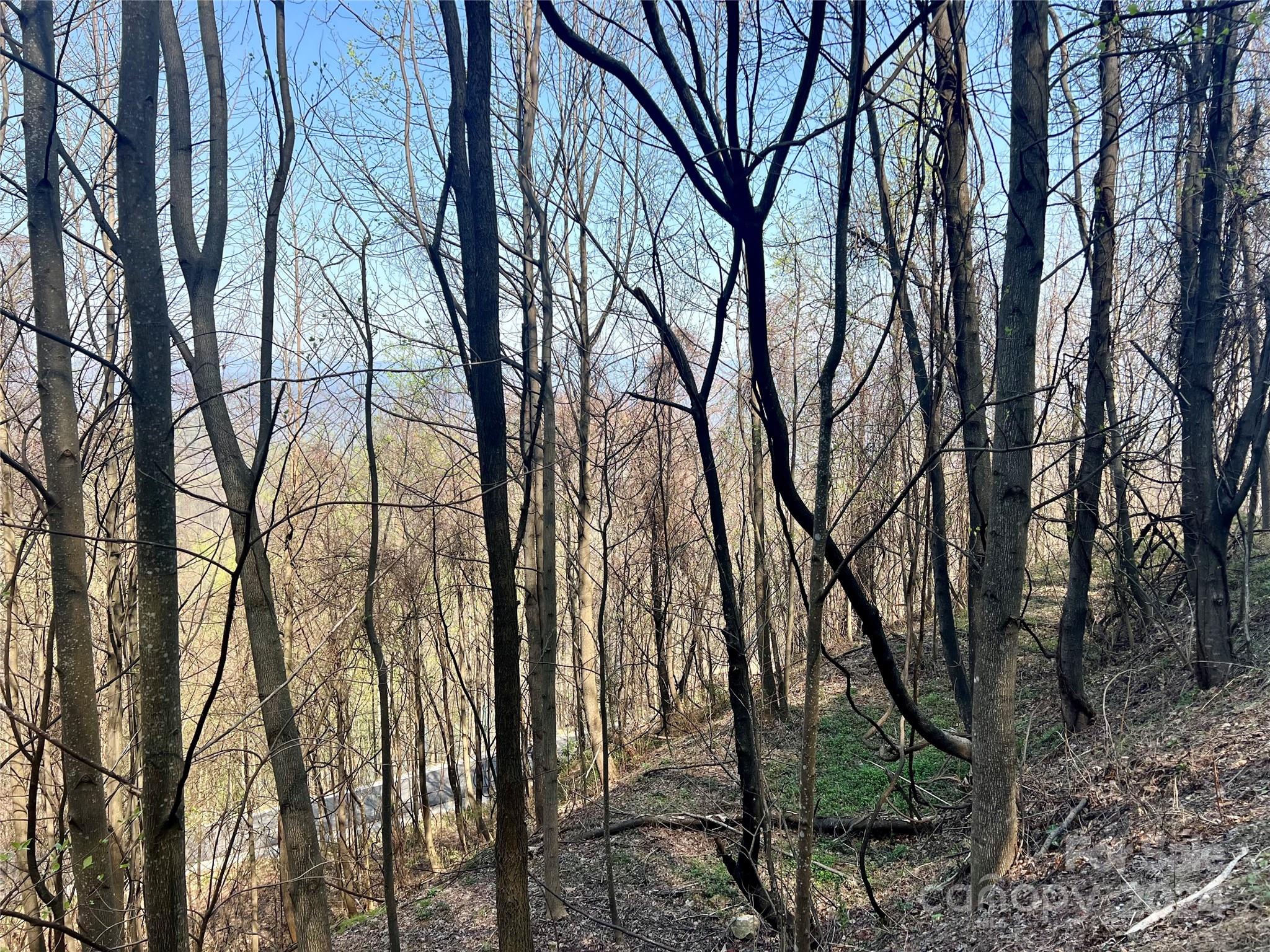 Gateway Mountain - Land