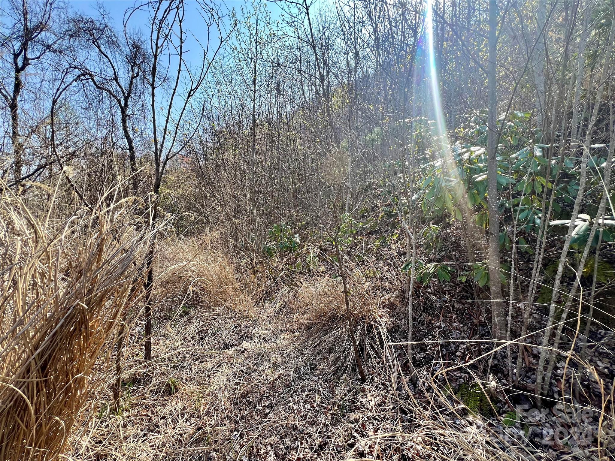 Gateway Mountain - Land