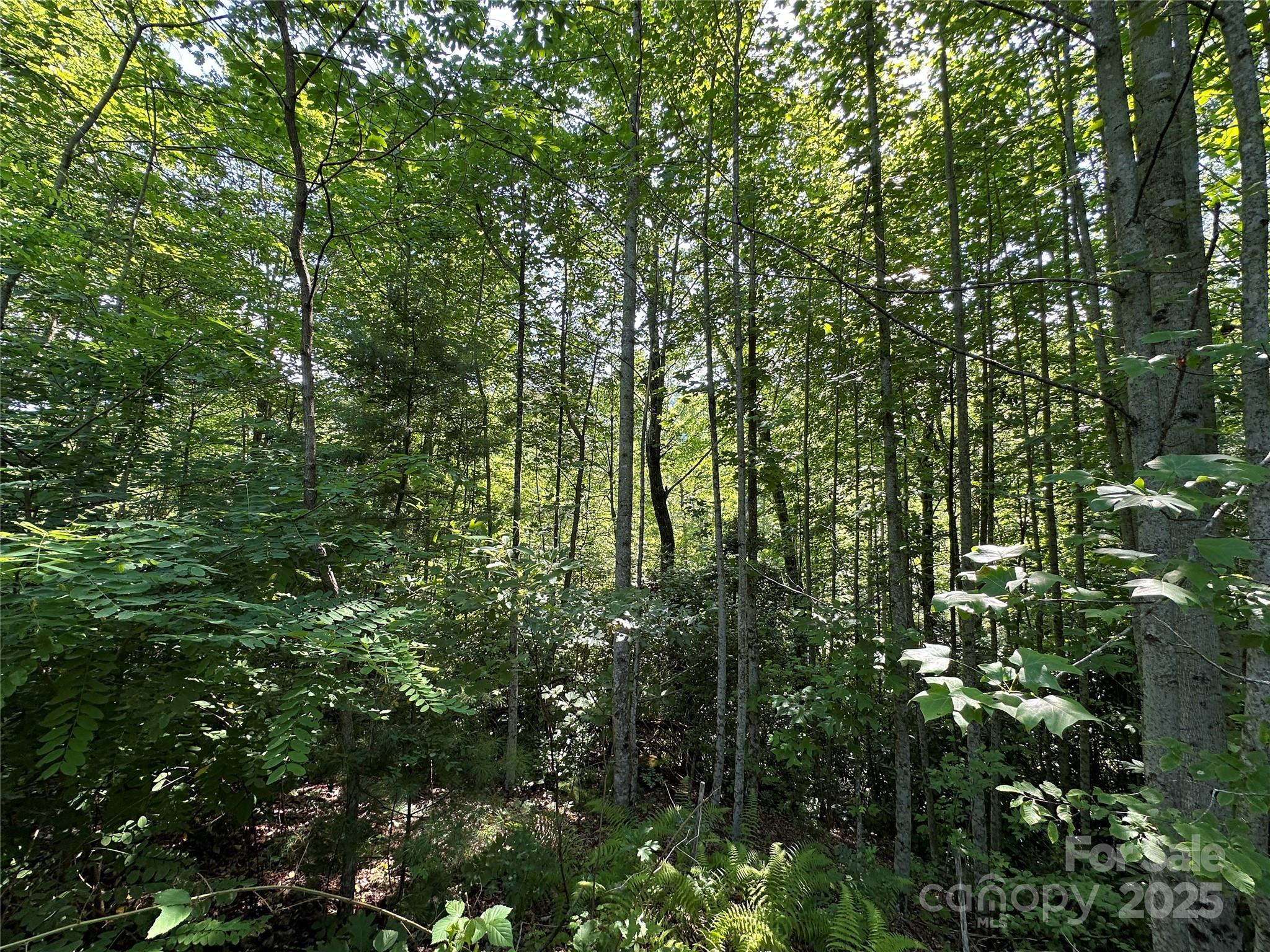 Round Mountain Falls - Land