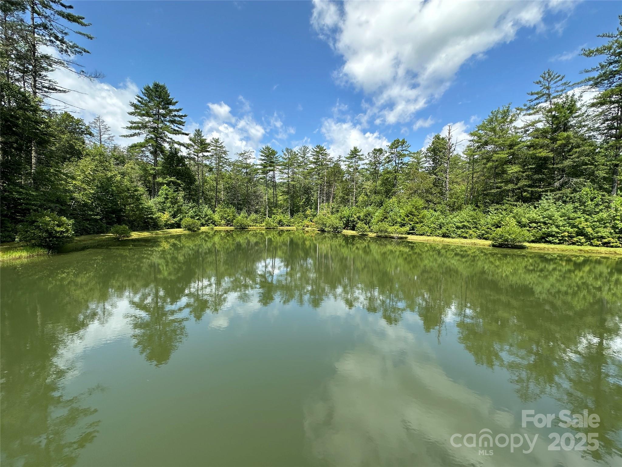 Round Mountain Falls - Land