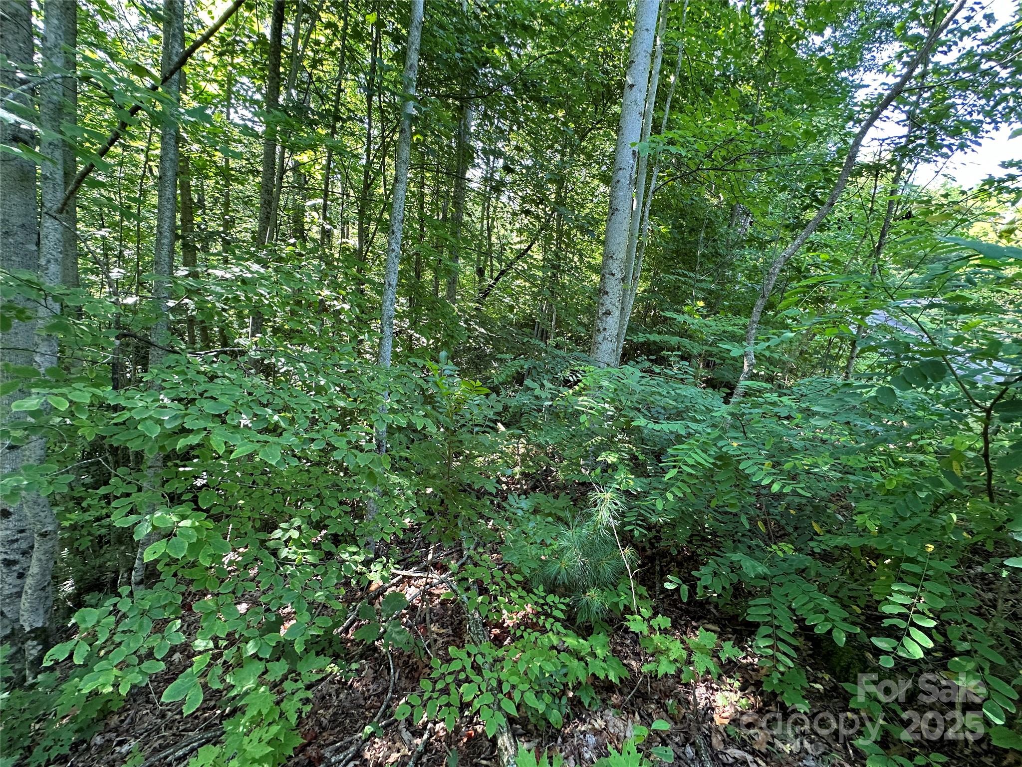 Round Mountain Falls - Land