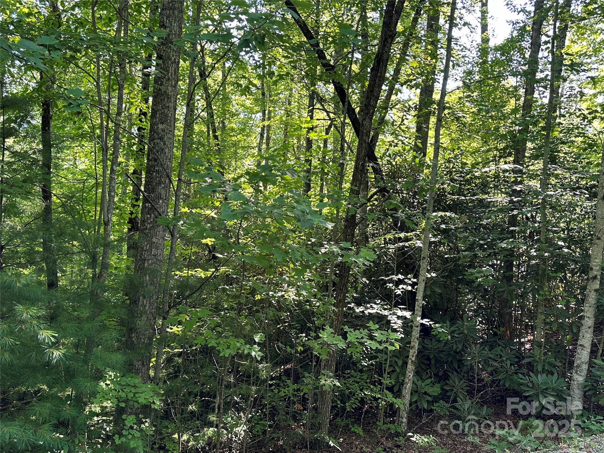 Round Mountain Falls - Land