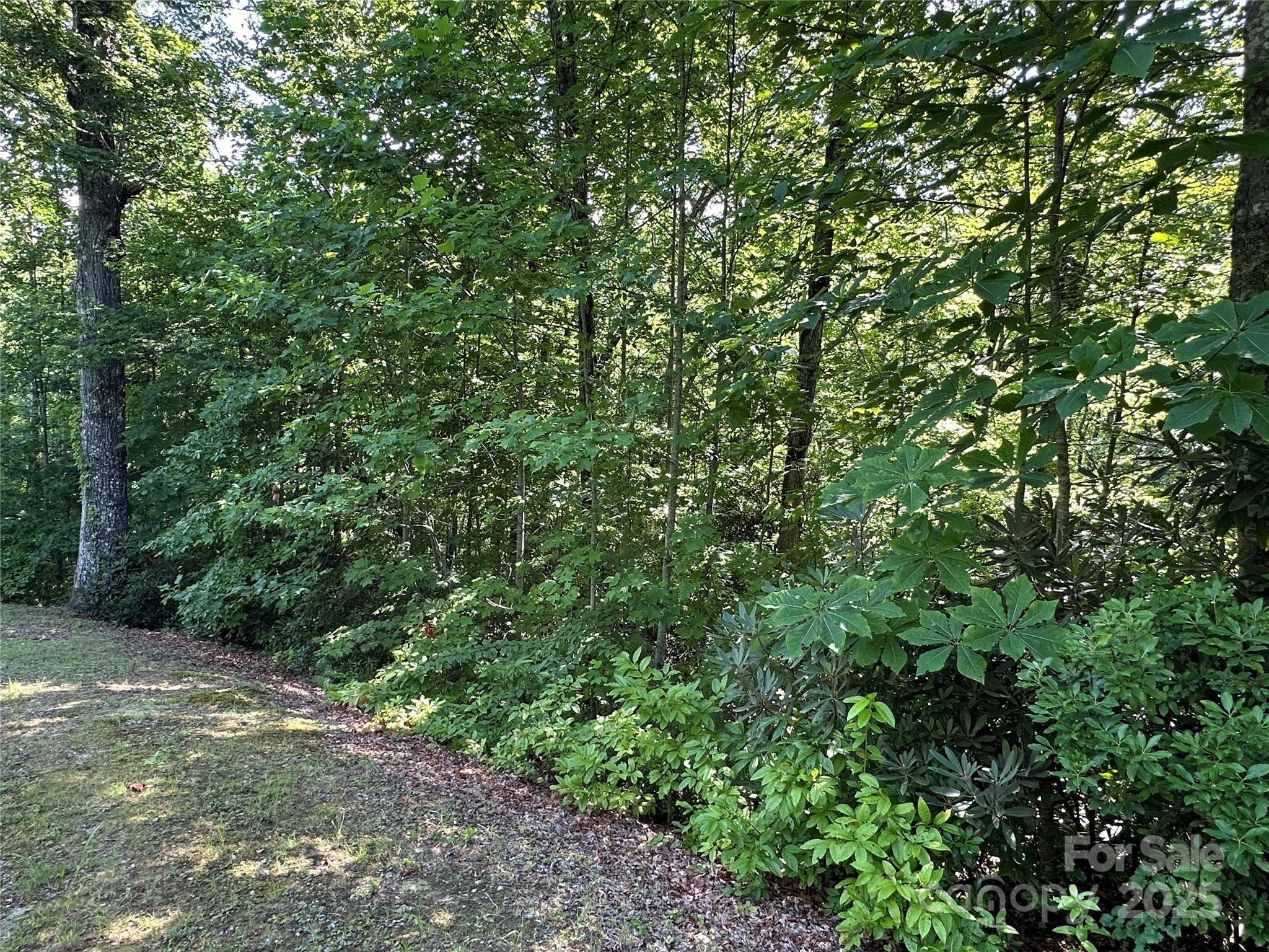 Round Mountain Falls - Land