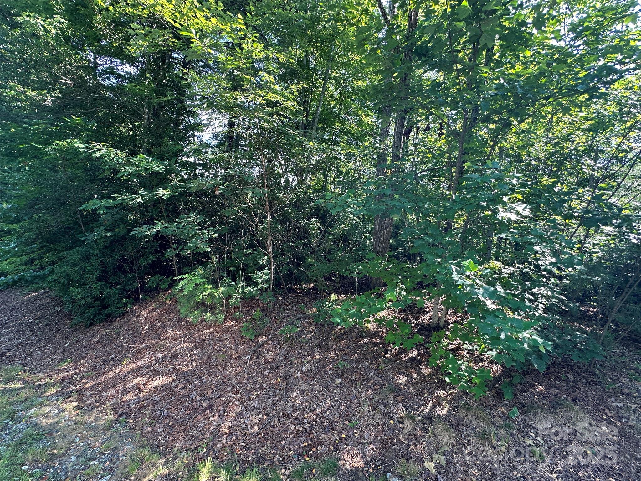 Round Mountain Falls - Land