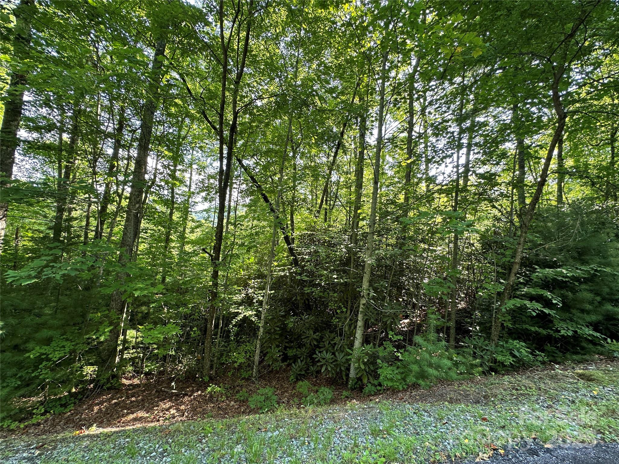 Round Mountain Falls - Land