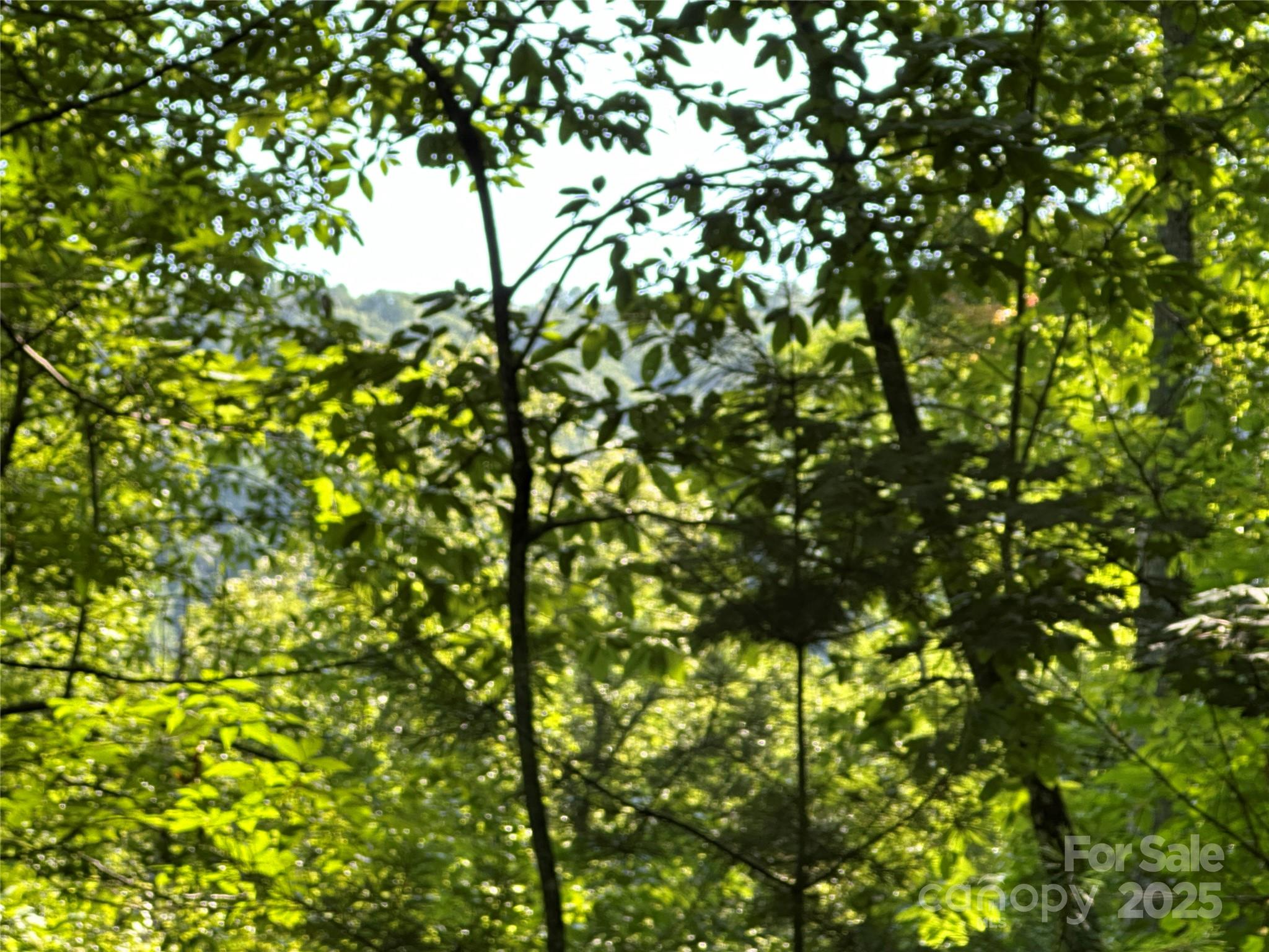 Round Mountain Falls - Land