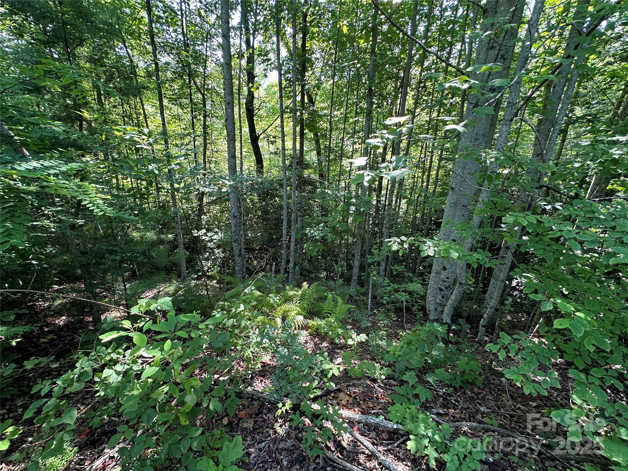 Round Mountain Falls - Land