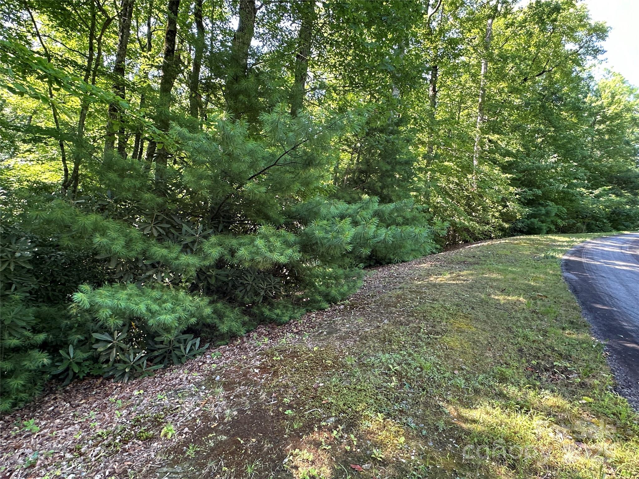 Round Mountain Falls - Land