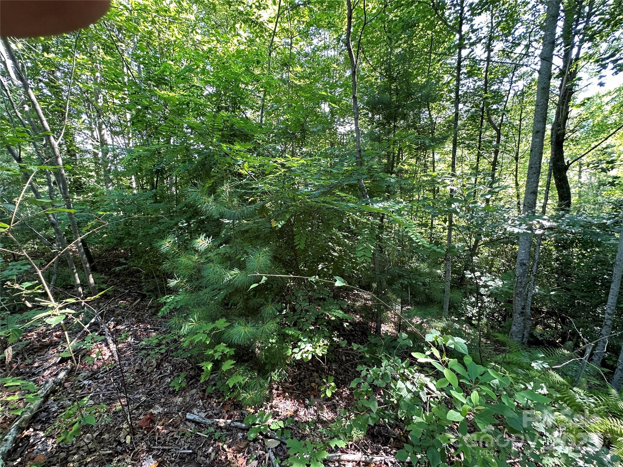 Round Mountain Falls - Land