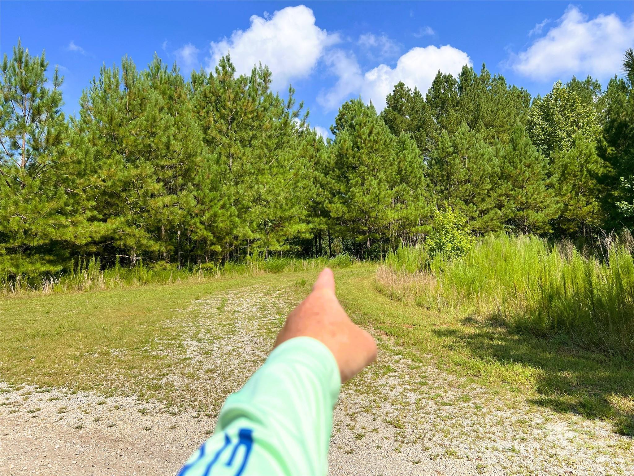 Broad River Highlands - Land