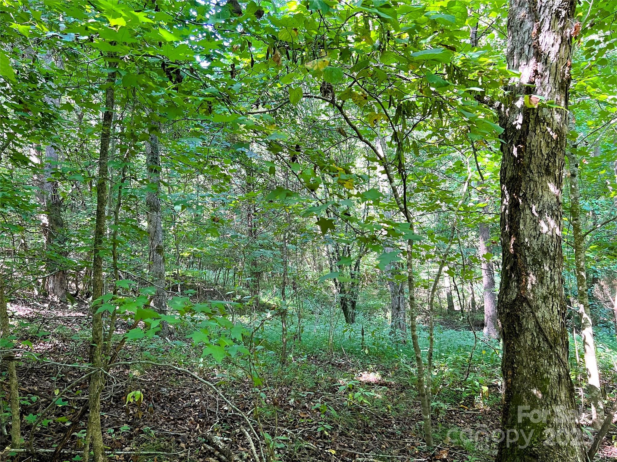 Broad River Highlands - Land