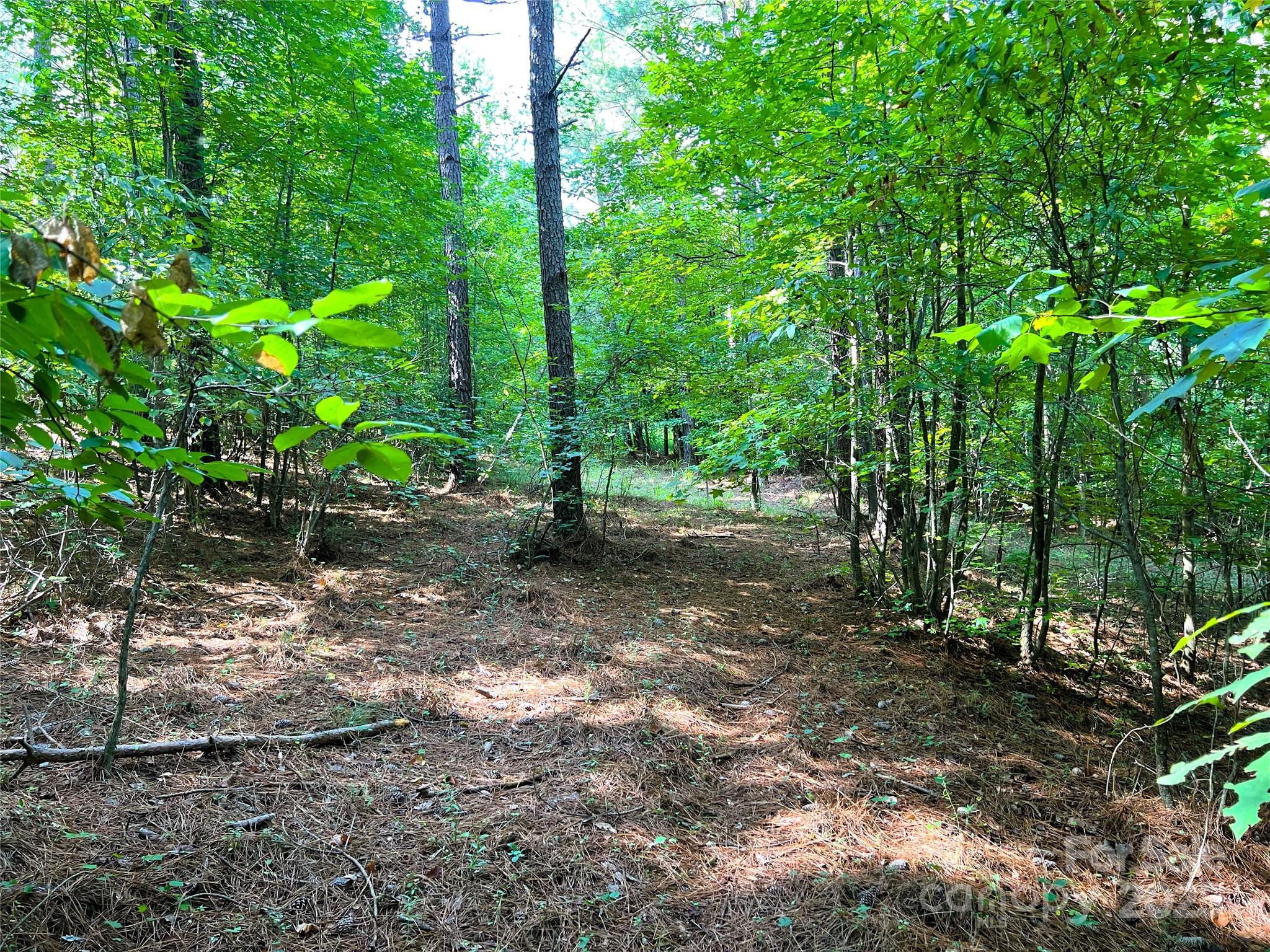 Broad River Highlands - Land