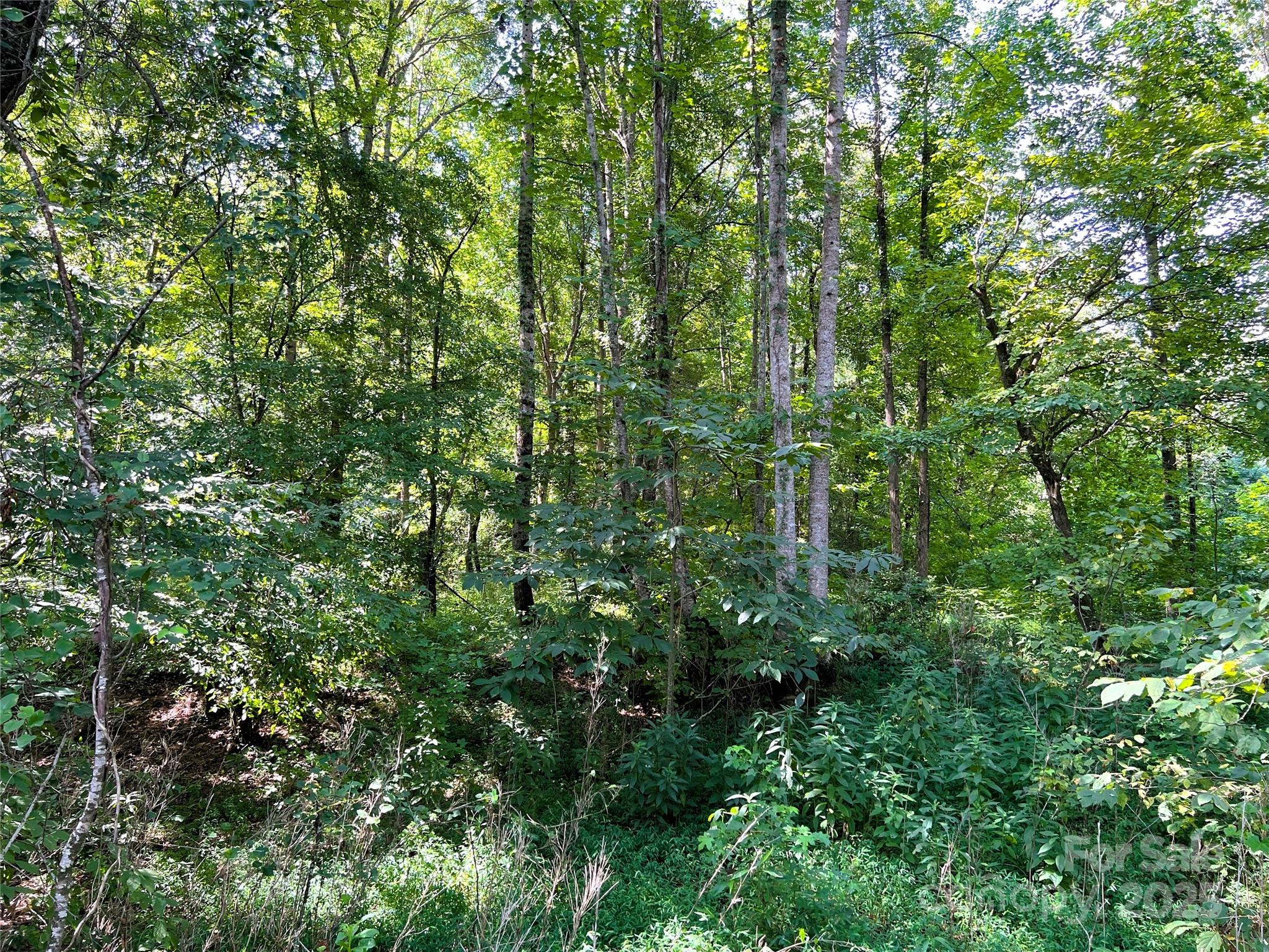 Broad River Highlands - Land