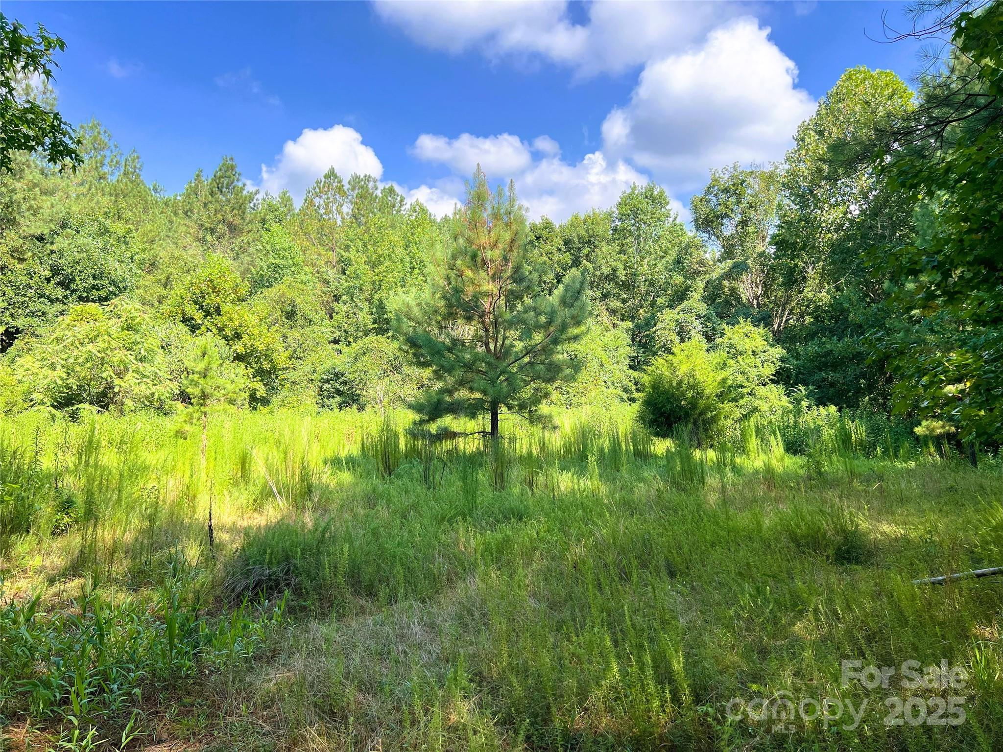 Broad River Highlands - Land