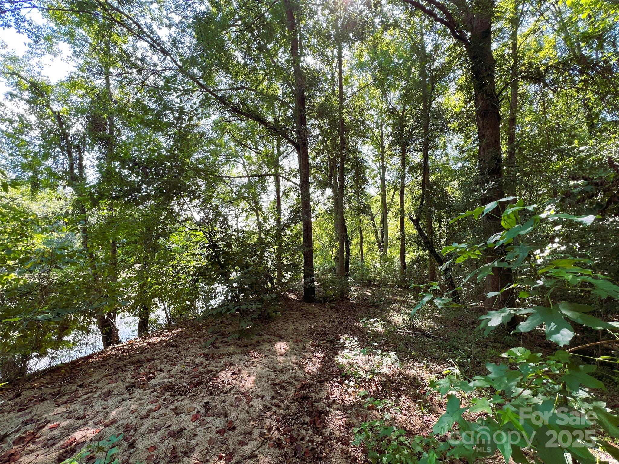 Broad River Highlands - Land