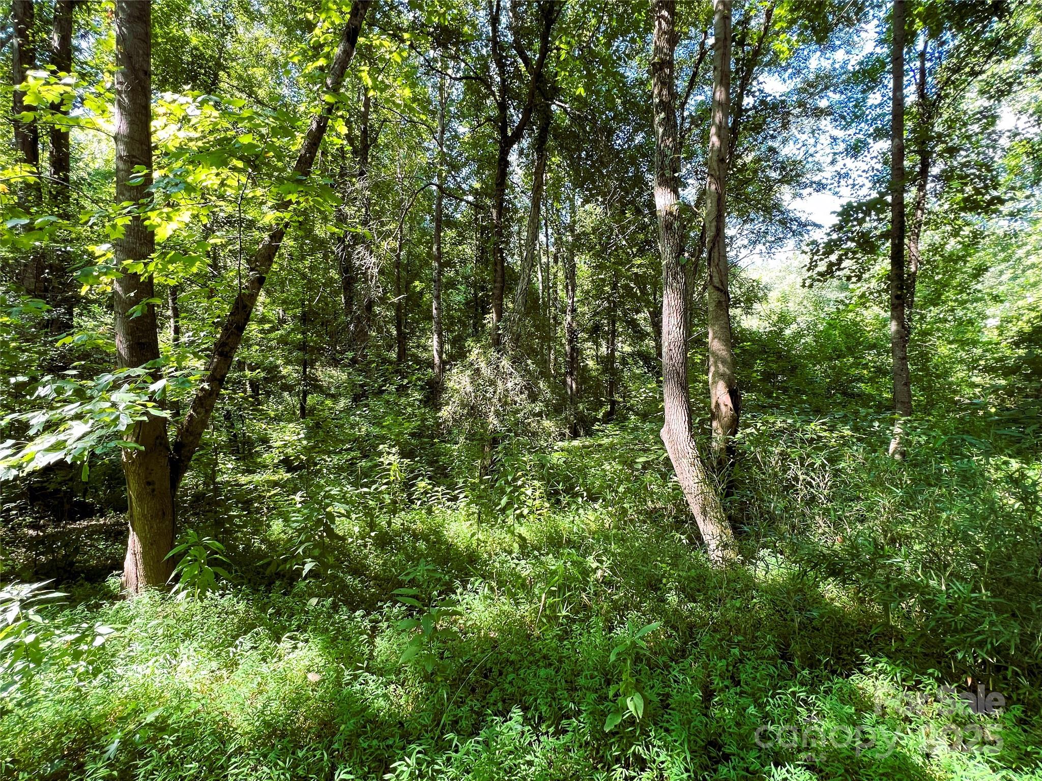 Broad River Highlands - Land