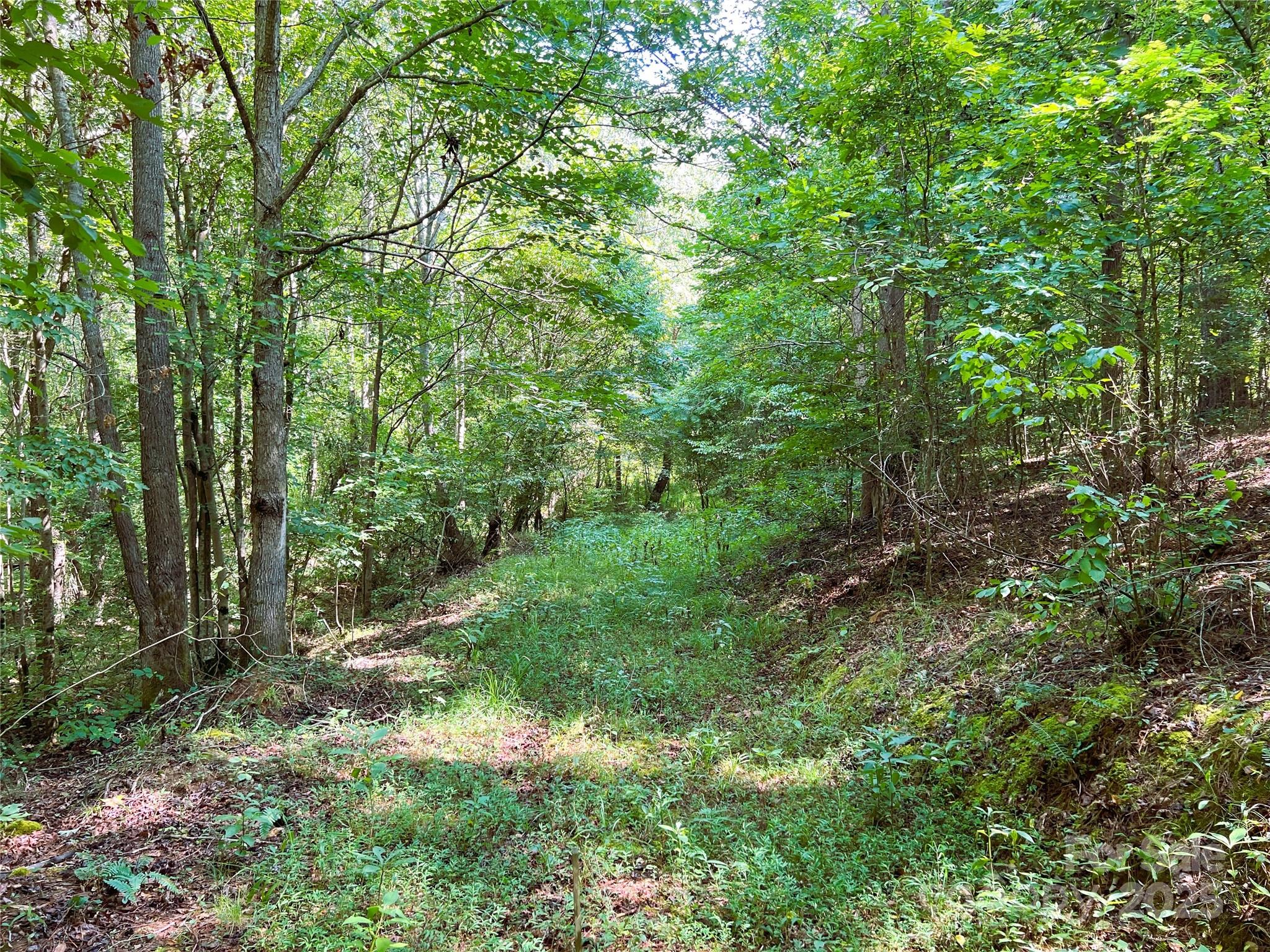 Broad River Highlands - Land