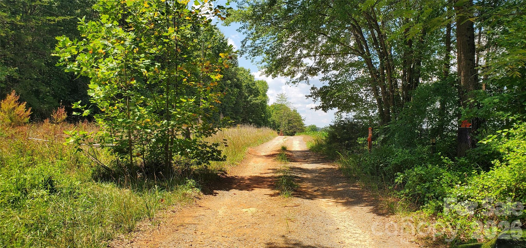 3641 US Highway 21 Highway