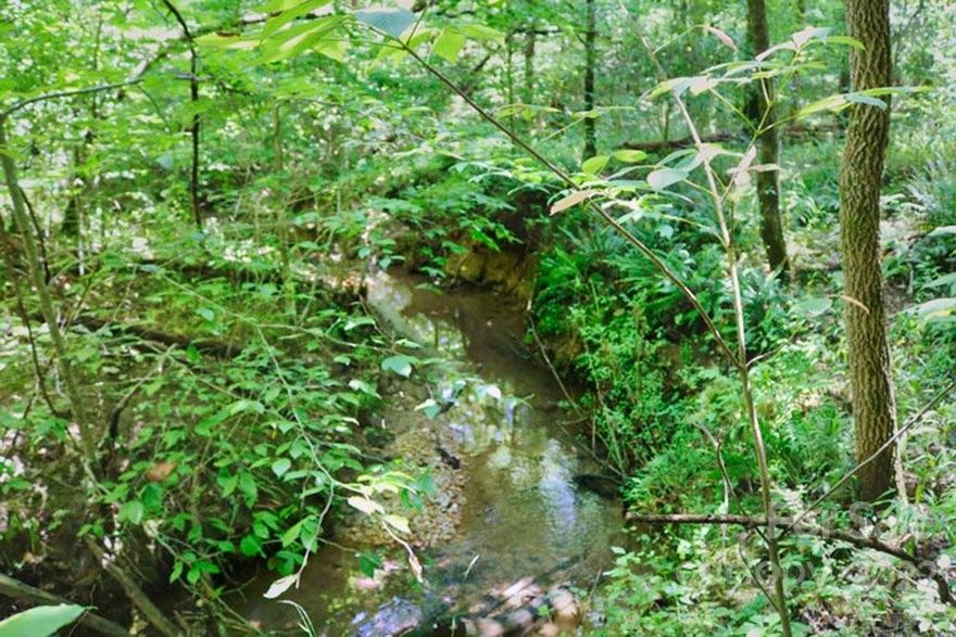 This lot has two distinctive levels, with the higher part being a rather large, easy-to-build area, then it slopes down leading to the potential for a park-like setting along the small stream.
From the road, you'd think this parcel is mostly pines, but it's covered in hardwoods, with a stream along the E border. Much of this land is near level giving you several home site choices. E-Z build for a one level home, or use the slope toward the stream to build with a basement.
Along the stream, the land is near-level offering a peaceful respite. Create a park where you enjoy the soothing sounds of the water. The wooded mixture of evergreens and hardwoods in this lot create a sense of privacy and serenity, and it's located on a small, less-used street. You'll notice the land undulates somewhat, but it's still an easy walk - maybe a bit overgrown, but thanks to the deer trails, it's not difficult to navigate.
