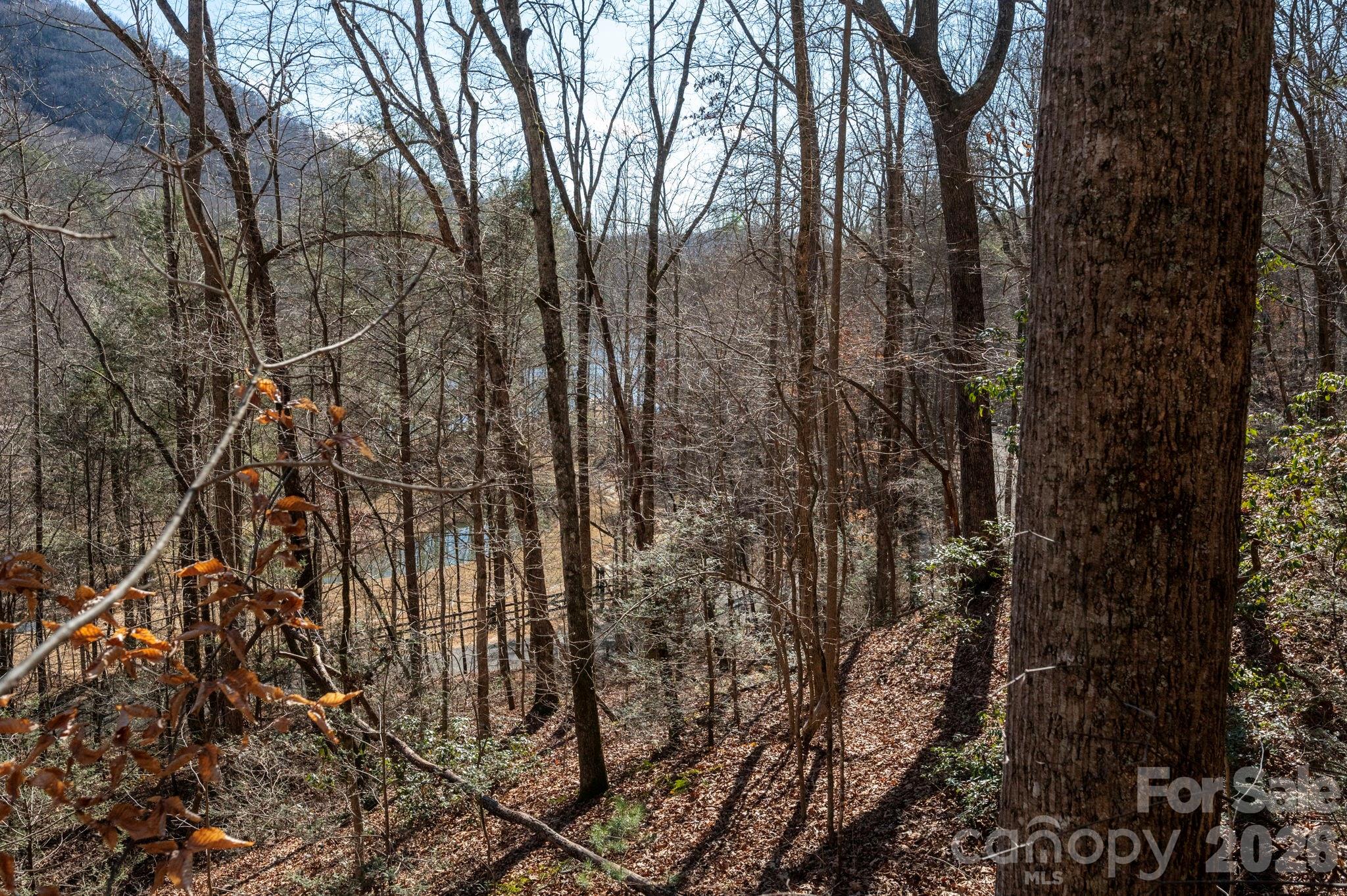 Rumbling Bald on Lake Lure - Land