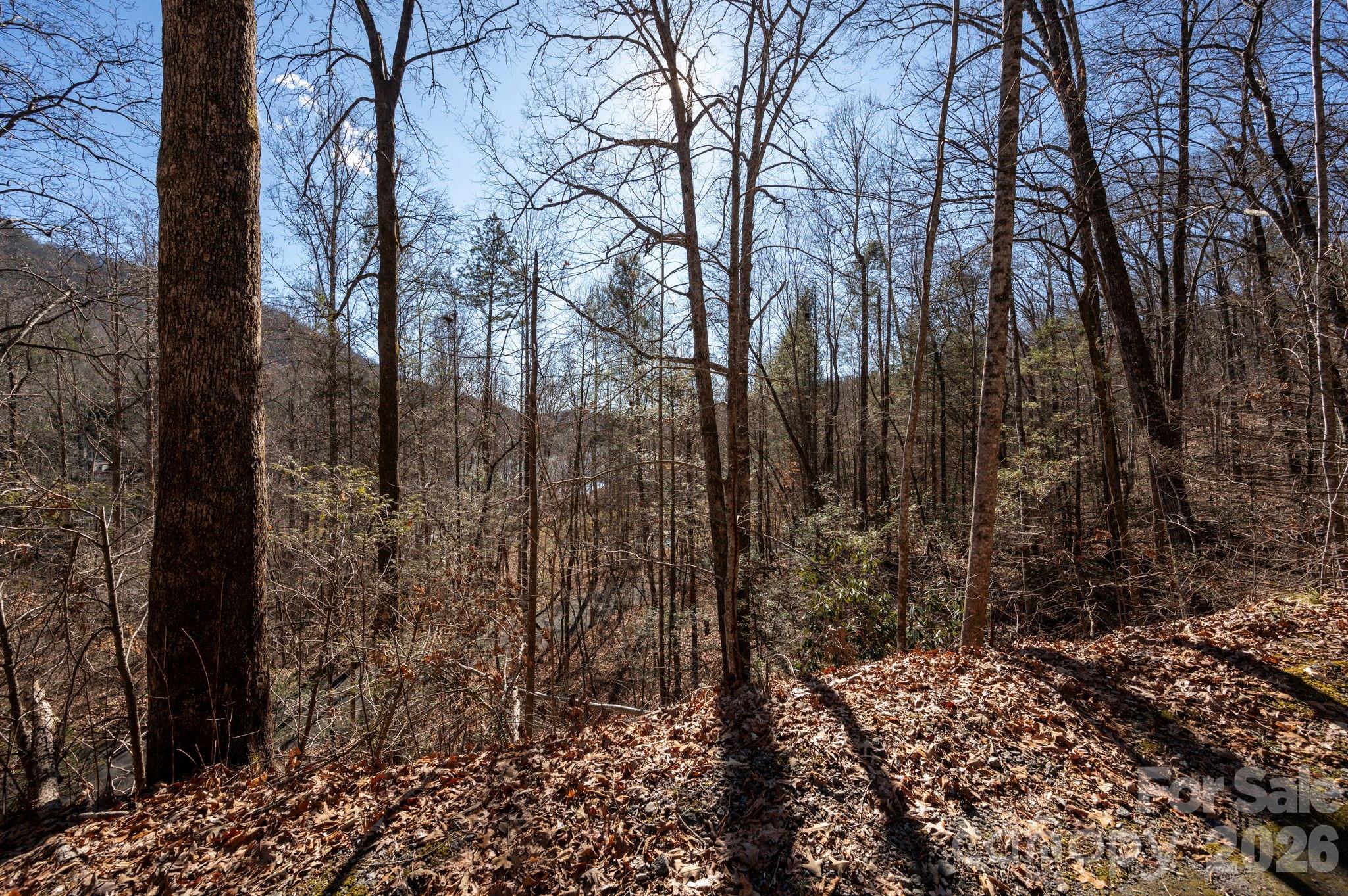 Rumbling Bald on Lake Lure - Land