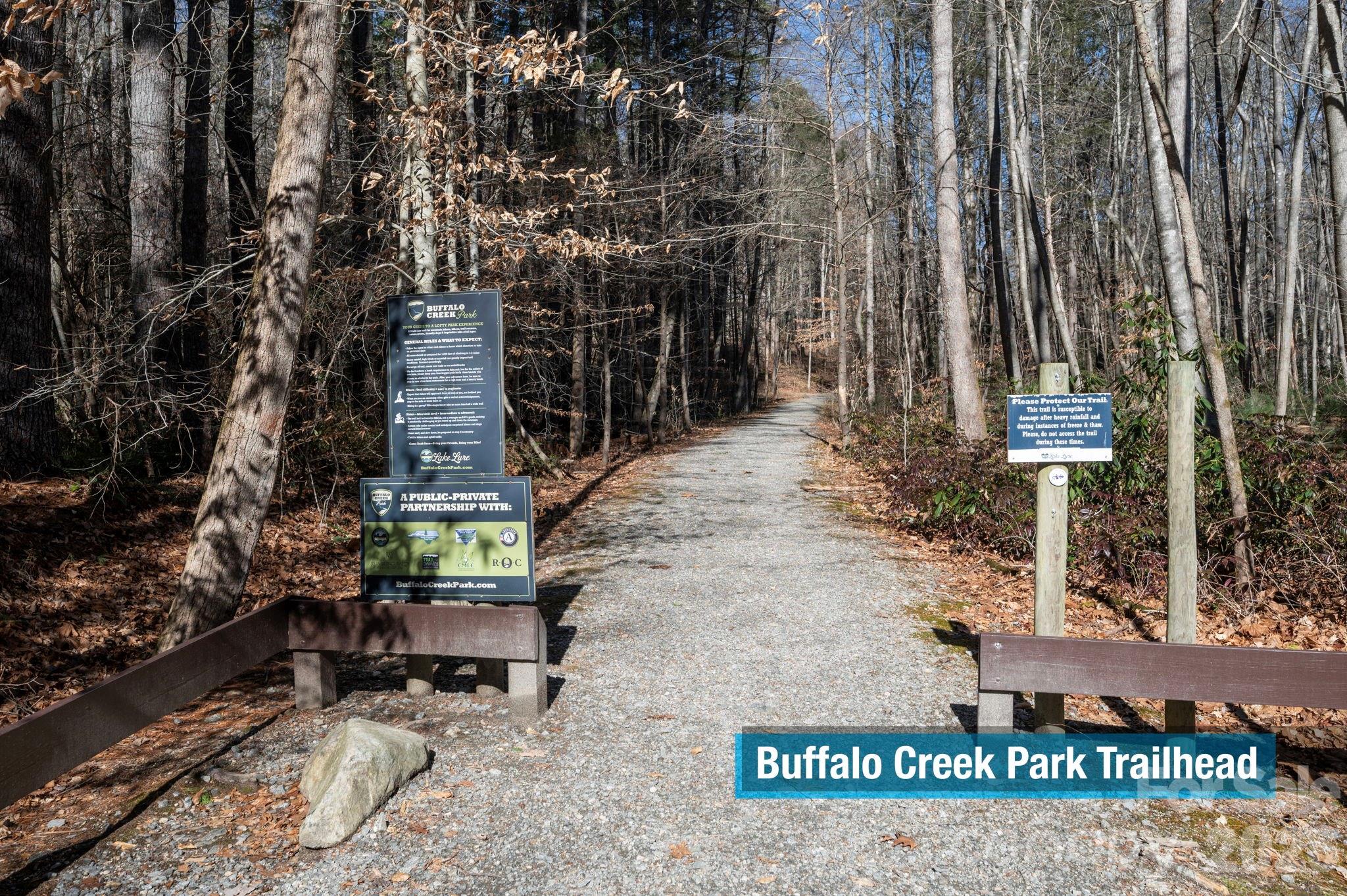 Rumbling Bald on Lake Lure - Land
