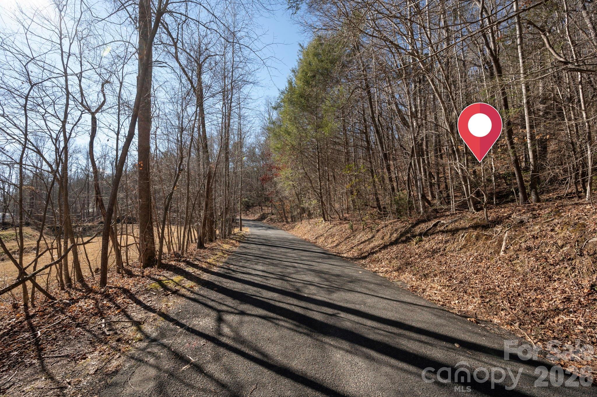 Rumbling Bald on Lake Lure - Land
