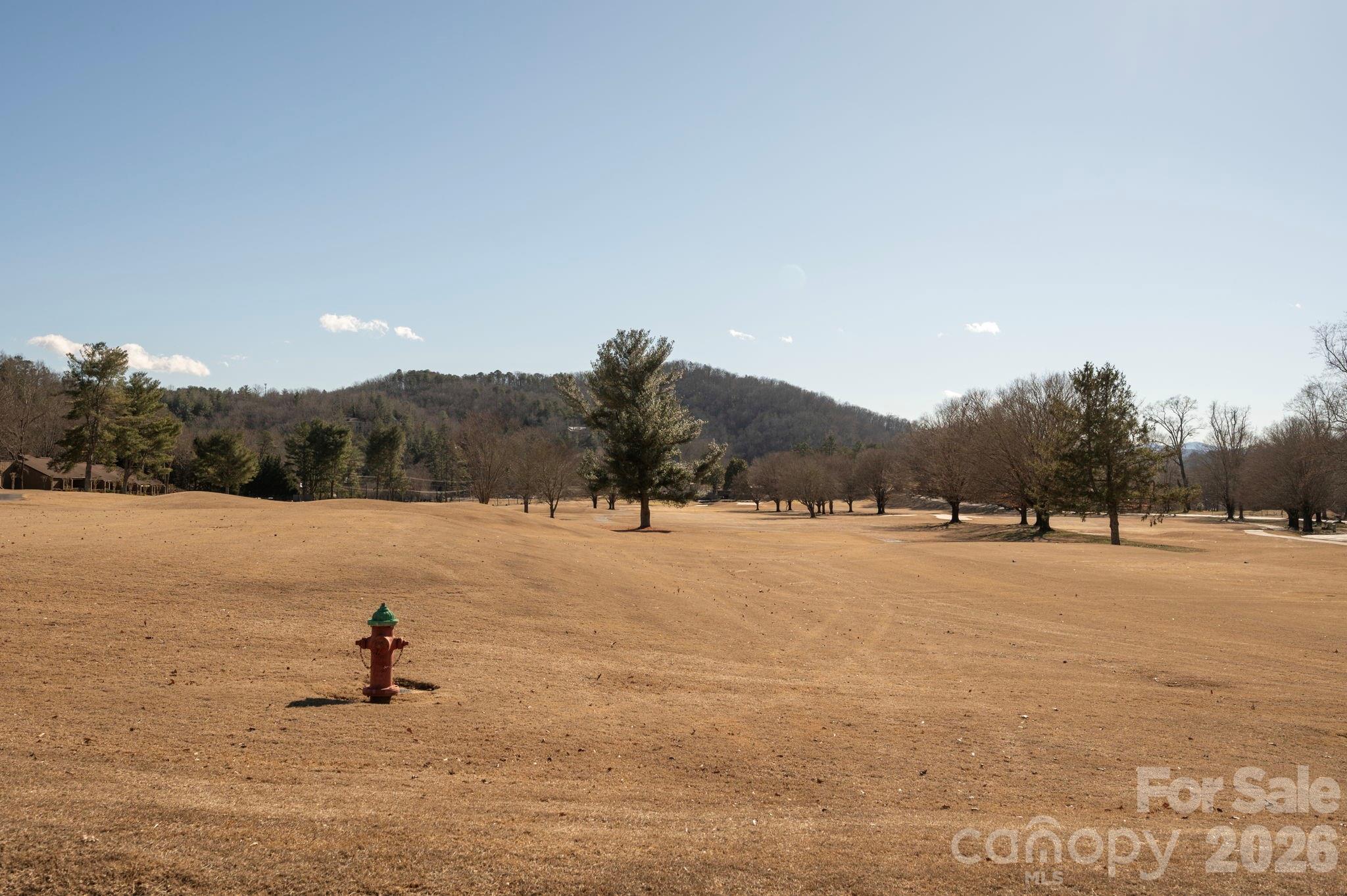 Rumbling Bald on Lake Lure - Land