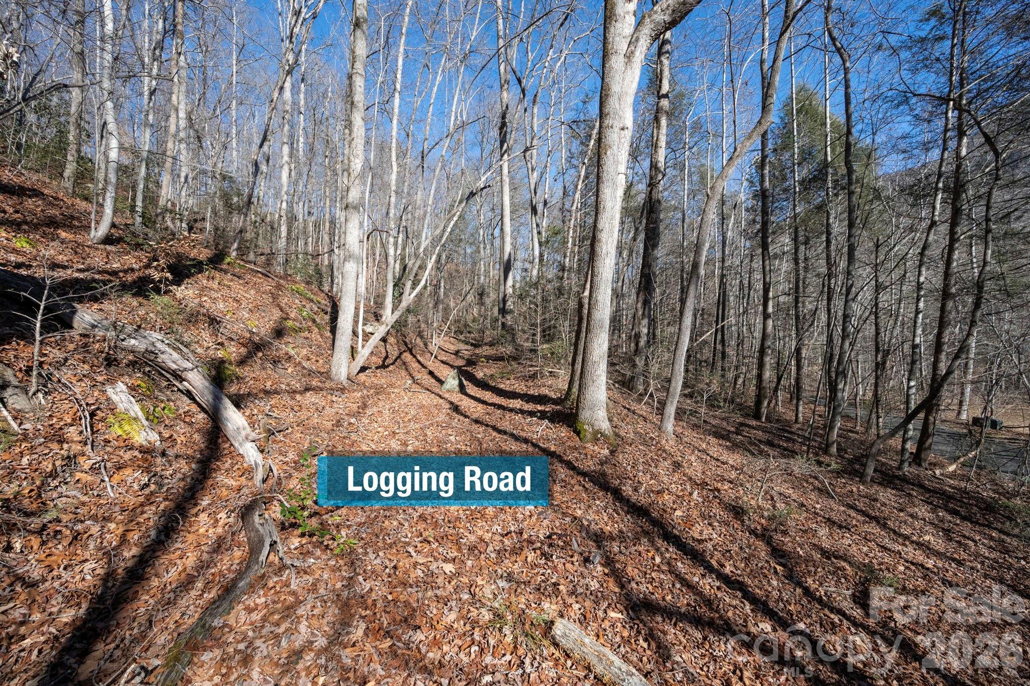 Rumbling Bald on Lake Lure - Land