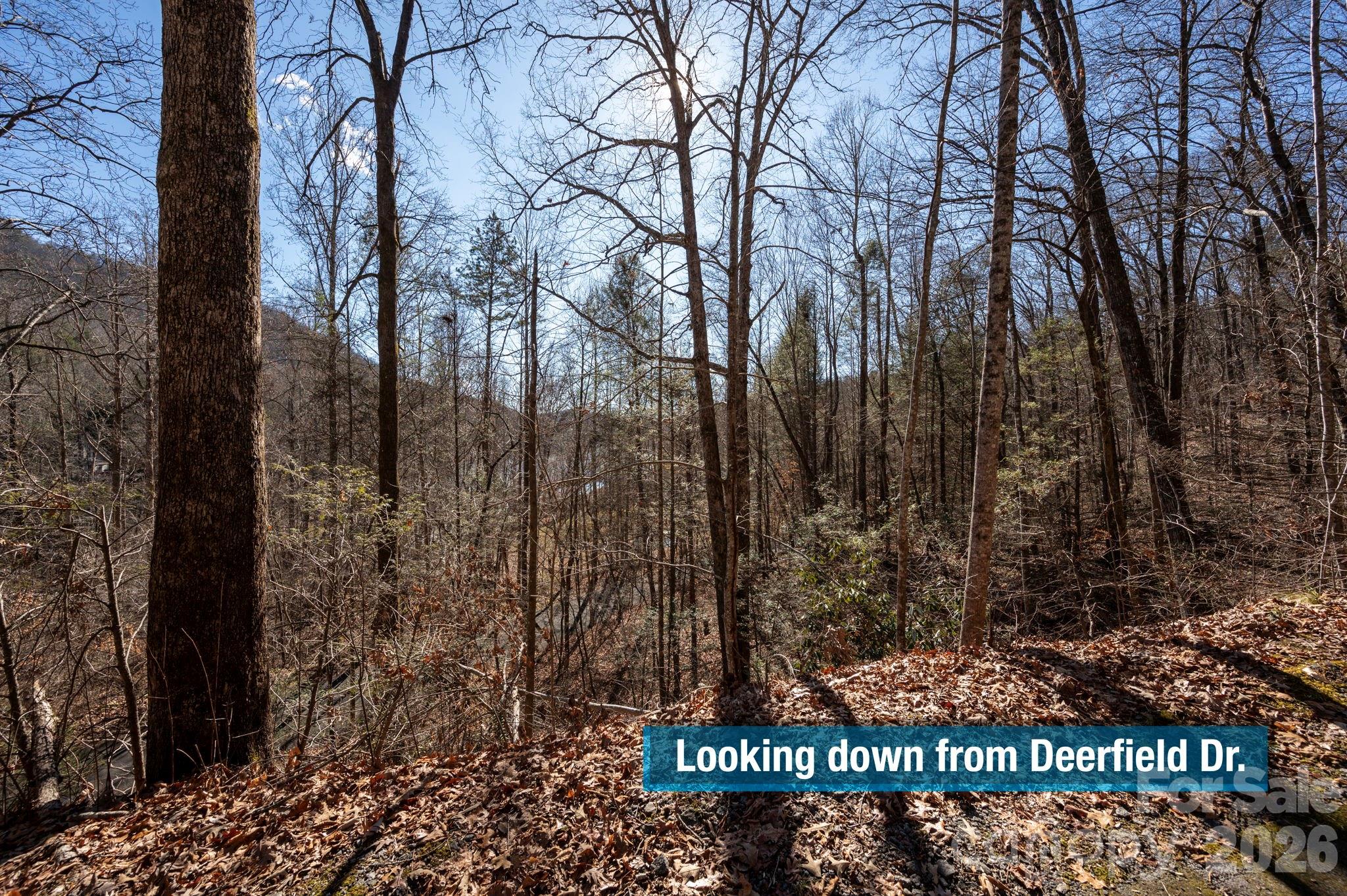 Rumbling Bald on Lake Lure - Land