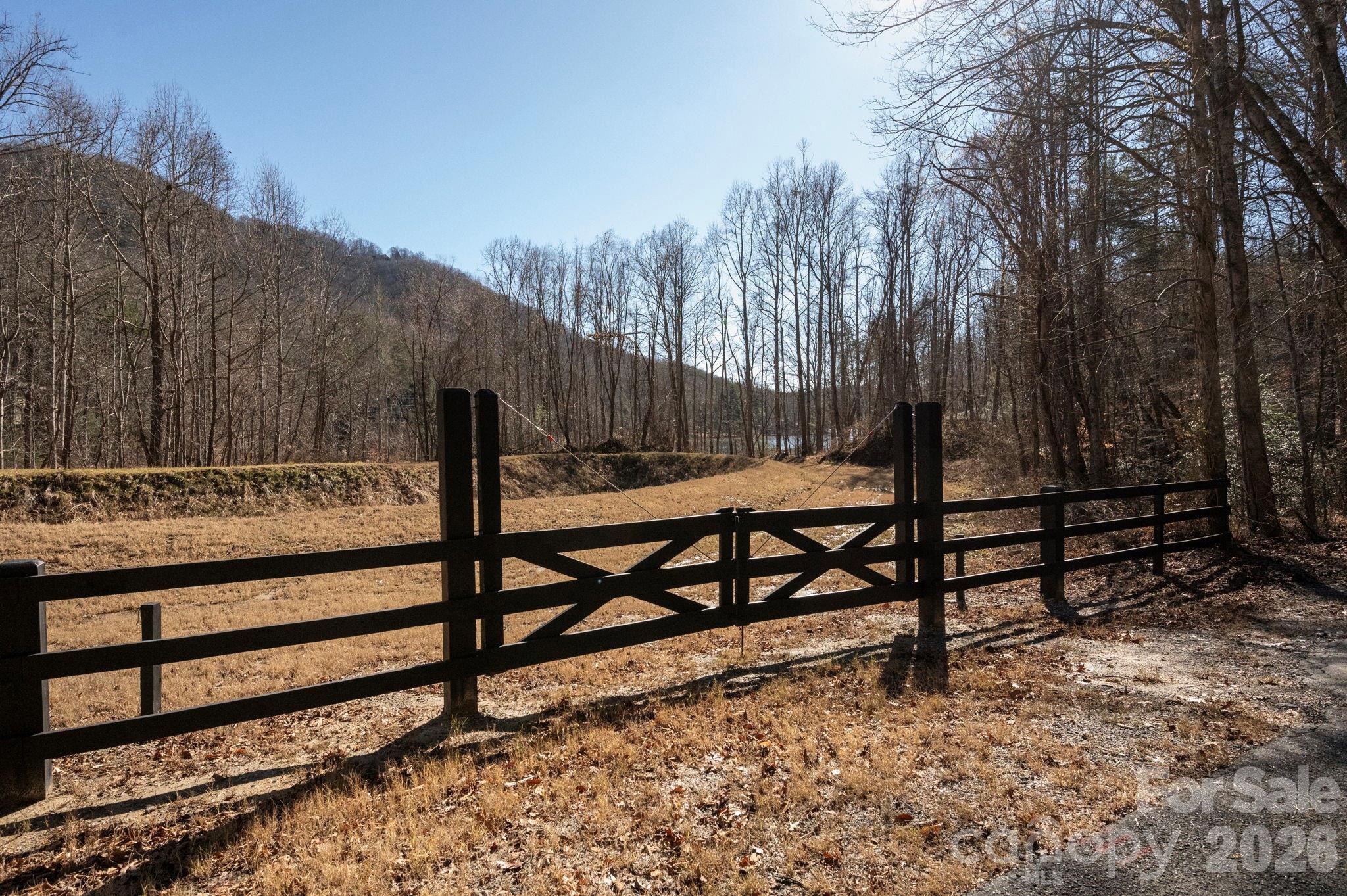 Rumbling Bald on Lake Lure - Land