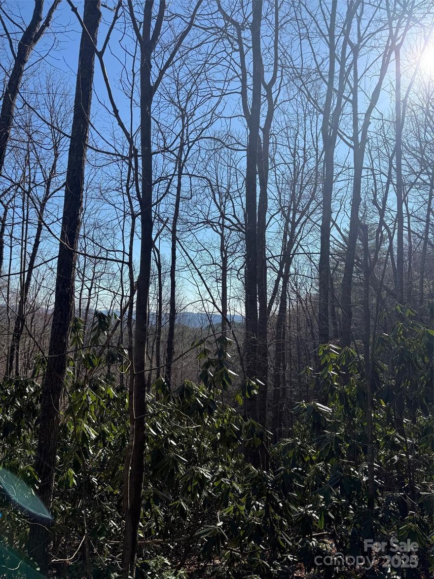 Escape to the serenity of the mountains with this stunning 10-acre property, offering breathtaking views and ultimate seclusion. Wake up to the crisp mountain air, sip your morning coffee while soaking in the panoramic scenery, and embrace a peaceful lifestyle surrounded by towering hardwoods and abundant wildlife. This property is a nature lover’s paradise, perfect for creating your own private retreat, hunting lodge, or vacation getaway. With mature timber, rolling terrain, and endless possibilities, this is the ideal place to disconnect from the hustle of city life and reconnect with nature.
? Expansive 10 acres of unspoiled beauty
? Secluded & peaceful – your own private nature preserve
? Big timber & abundant wildlife for outdoor enthusiasts
? Breathtaking mountain views – the perfect backdrop for your dream home