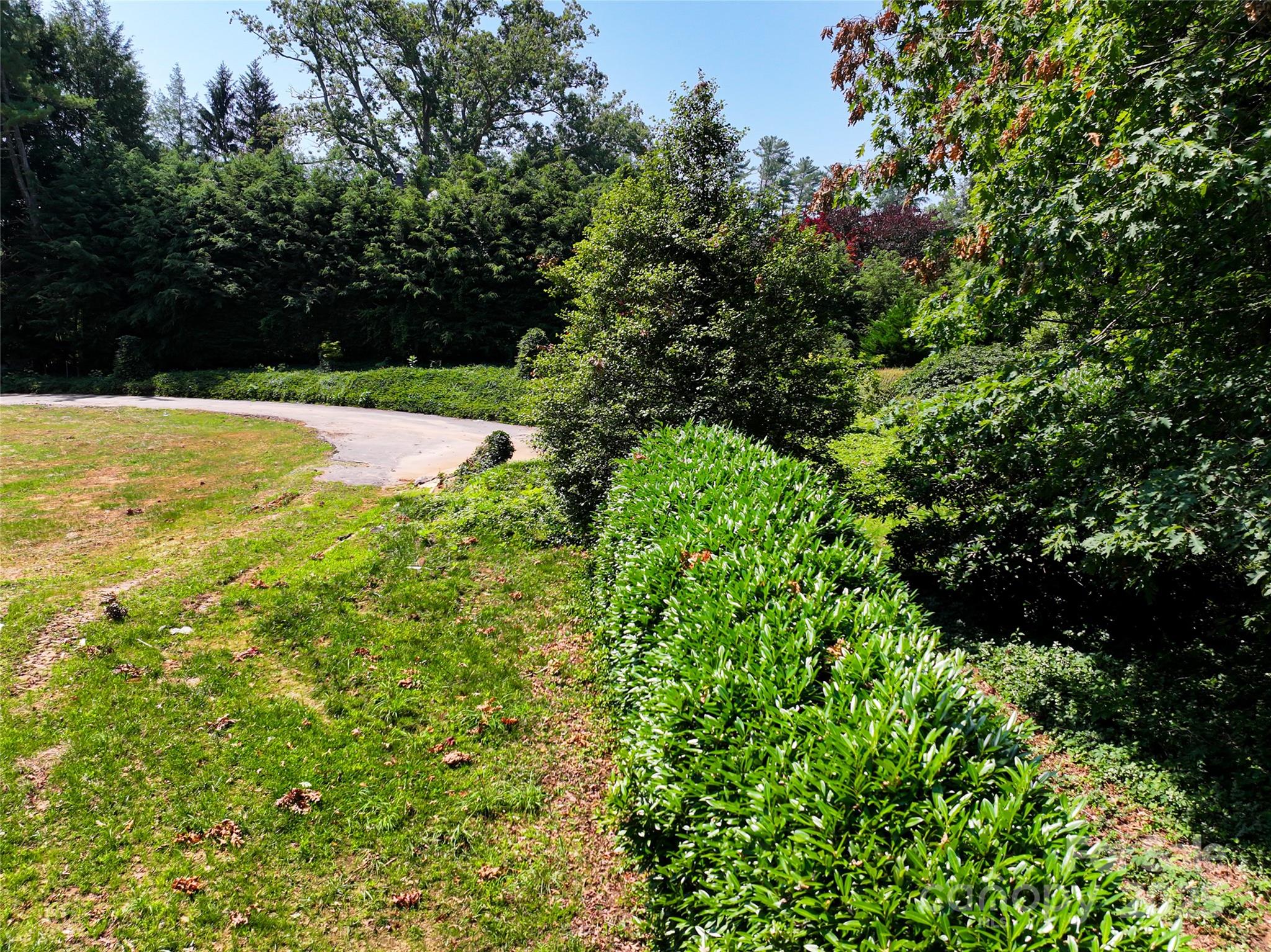 59 Stuyvesant Road
