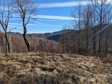 117 Ironwood Lane C-20 Black Mountain NC 28711