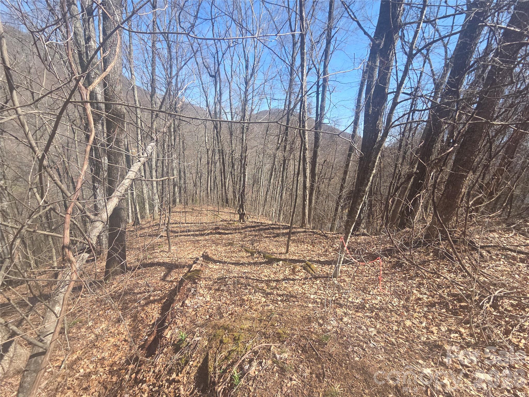 820 Chestnut Flats Lane 4